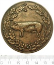 Medal Za Osiągnięcia W Hodowli Trzody Chlewnej