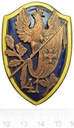 Odznaka 41 Suwalski Pułk Piechoty Piłsudskiego