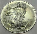 USA American Silver Eagle Dollar dolar 2009 1 oz uncja SREBRO