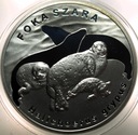 20 zł złotych 2007 Foka Szara Foki Zwierzęta Świata SREBRO