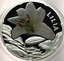 Świat Kwiatów Lilia SREBRO