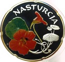 Świat Kwiatów Nasturcja SREBRO