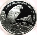 20 zł złotych 2008 Sokół Wędrowny Zwierzęta Świata SREBRO (nr 1)