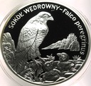 20 zł złotych 2008 Sokół Wędrowny Zwierzęta Świata SREBRO