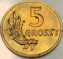 5 gr groszy 1949 BRĄZ