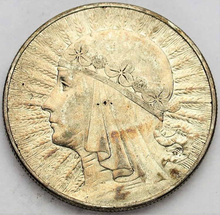 Zdjęcie 11763365424_0