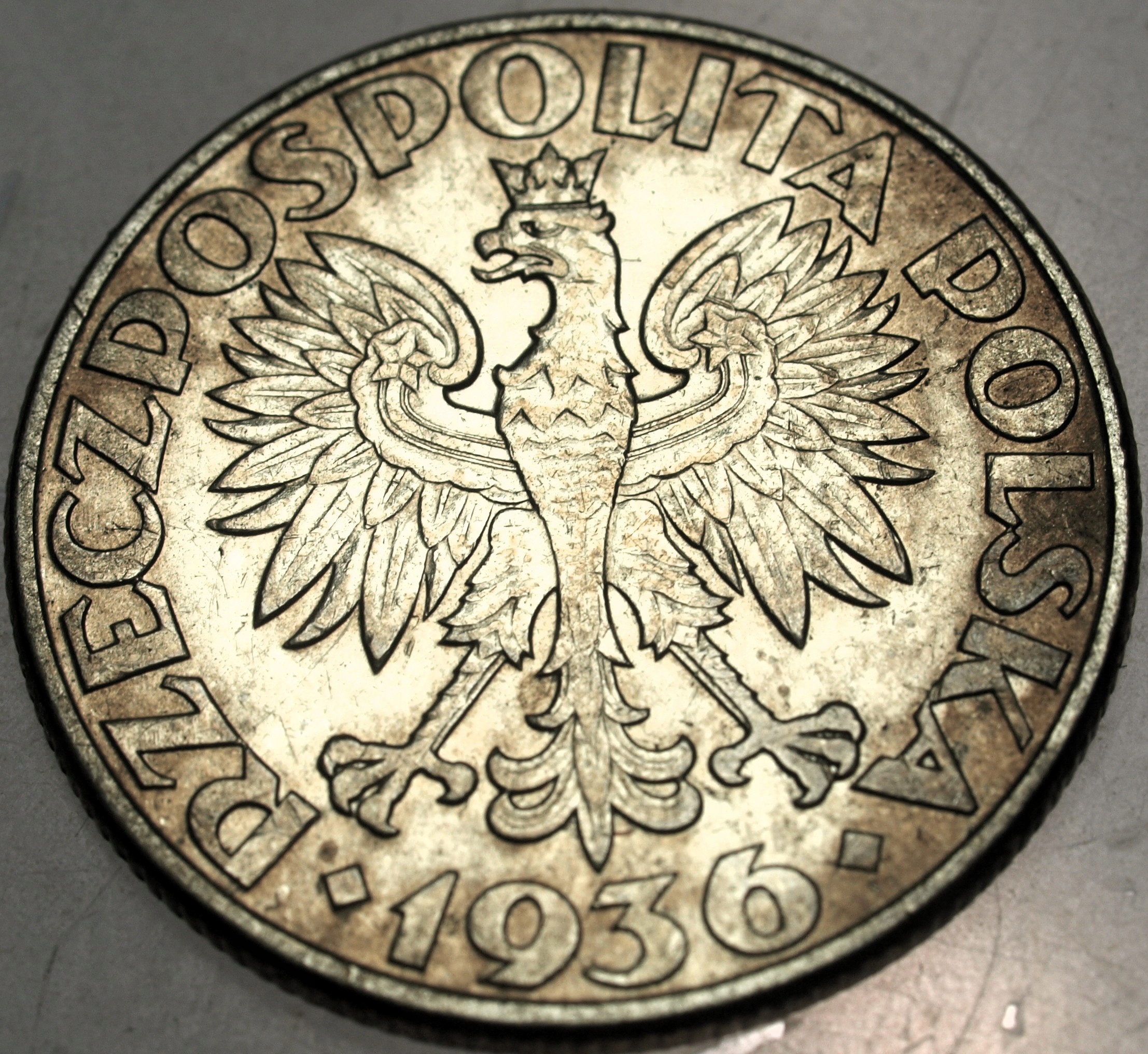 Zdjęcie 18275573207_1