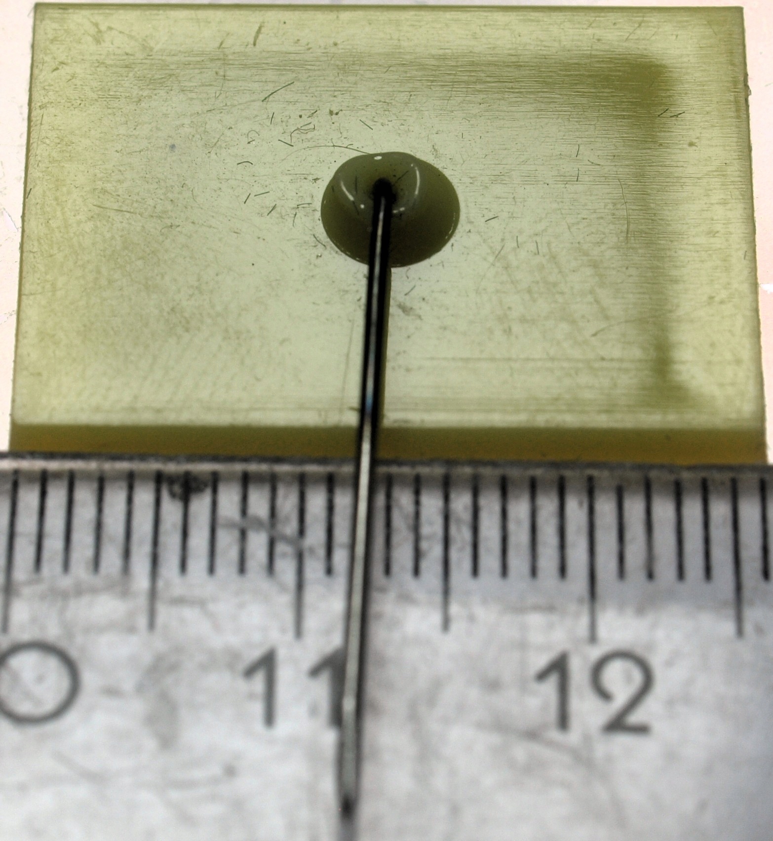 Zdjęcie 18275669305_1