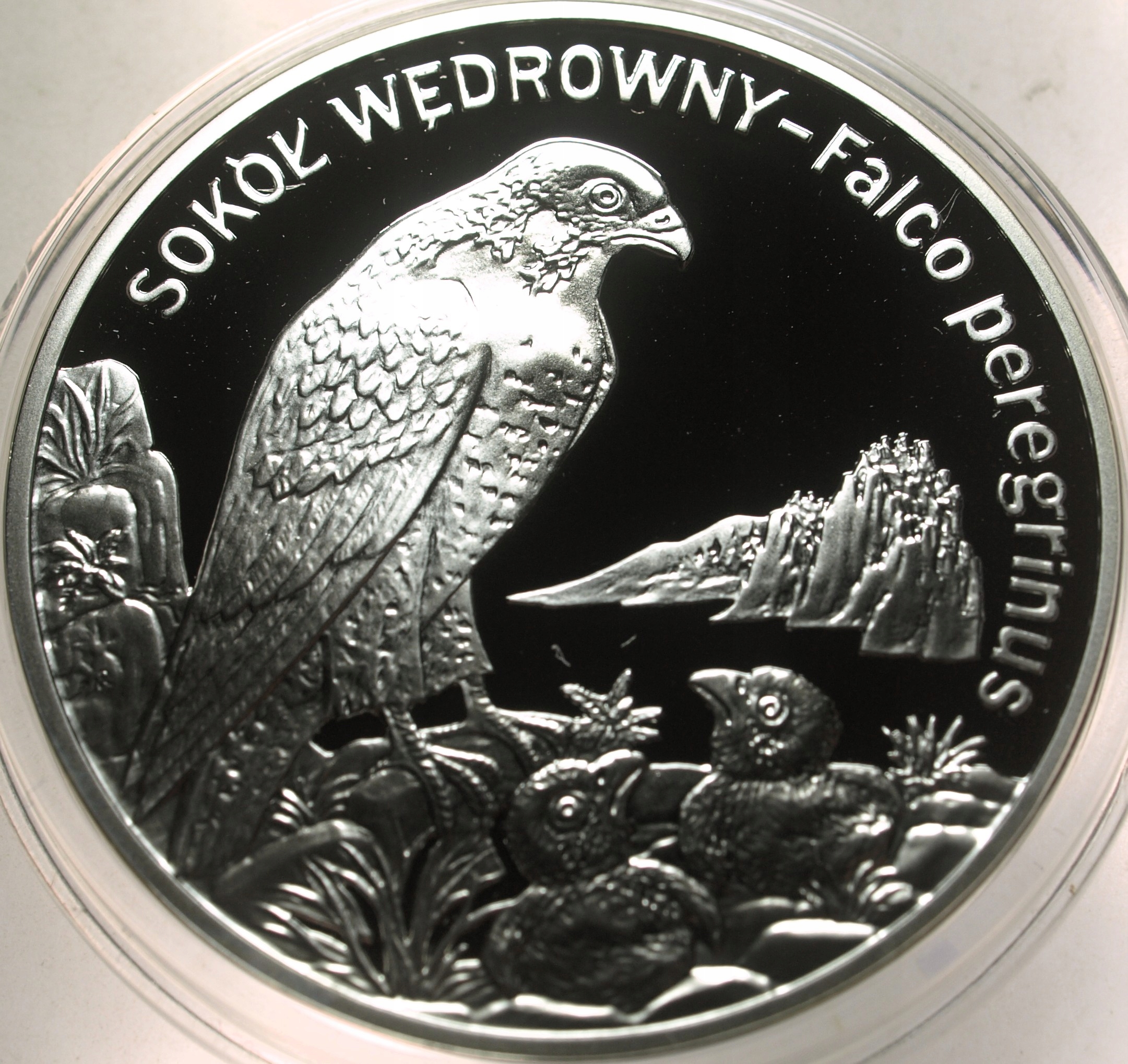 Zdjęcie 18285264303_0