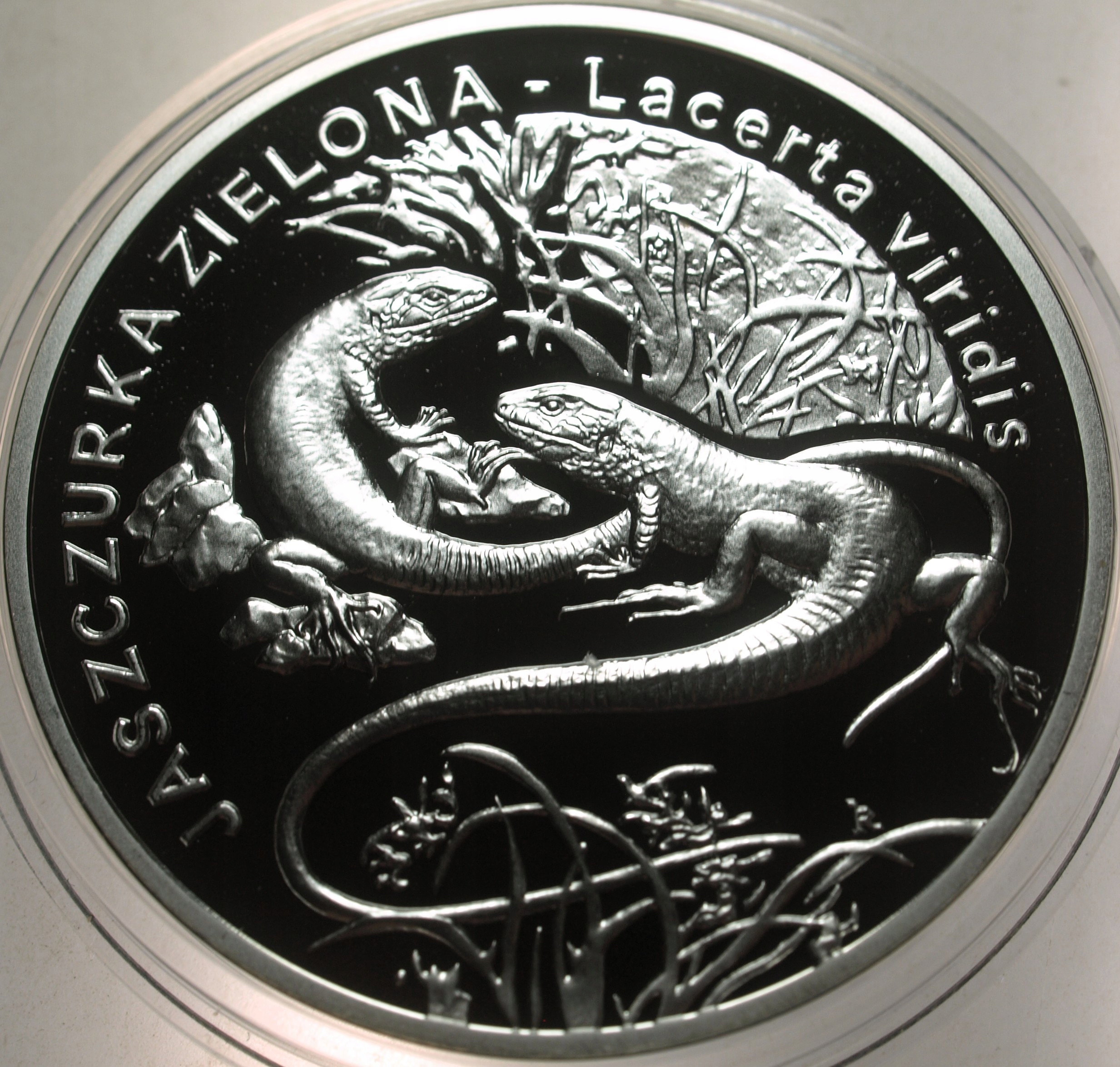 Zdjęcie 18285269802_0