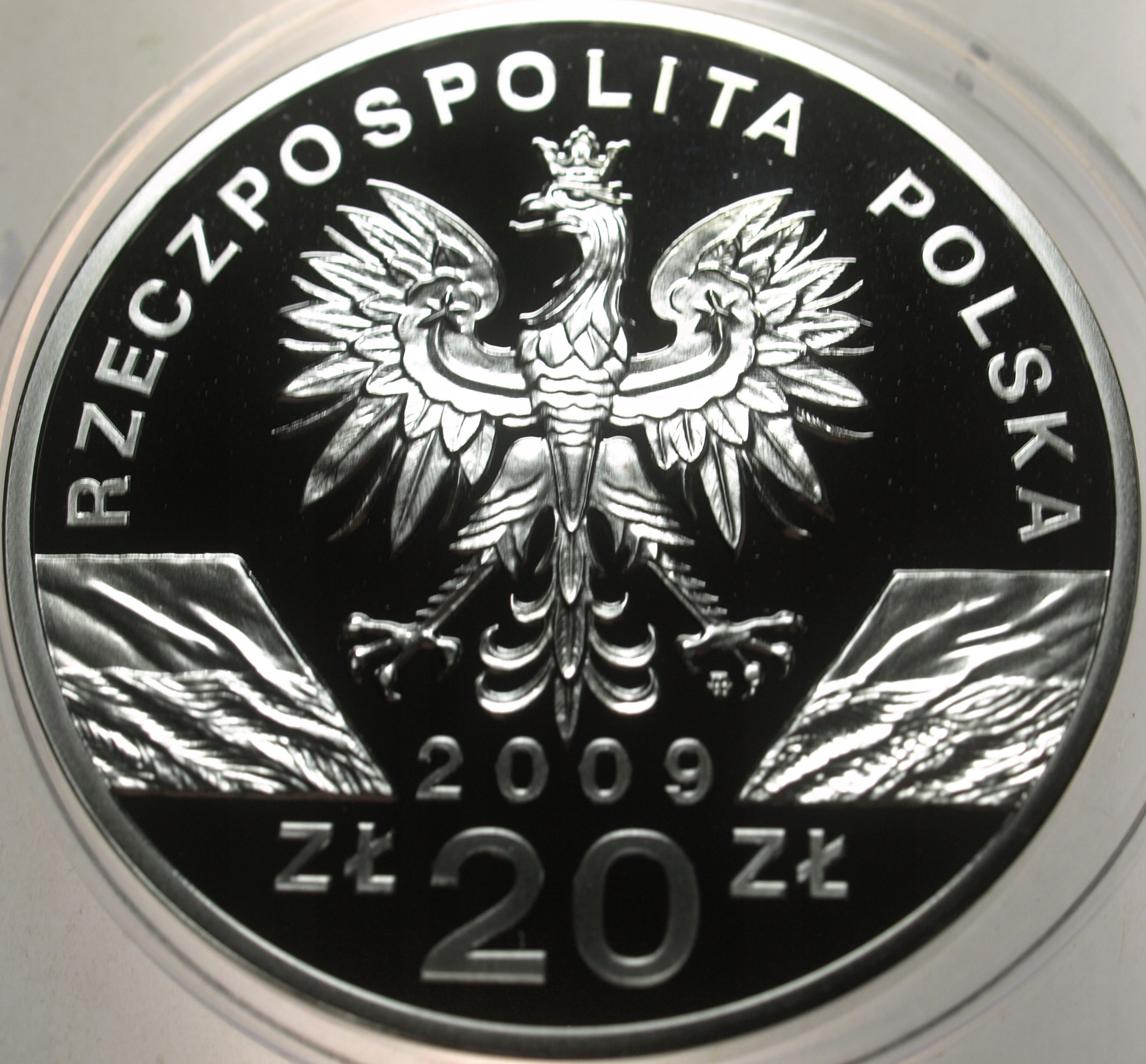 Zdjęcie 18285269802_1