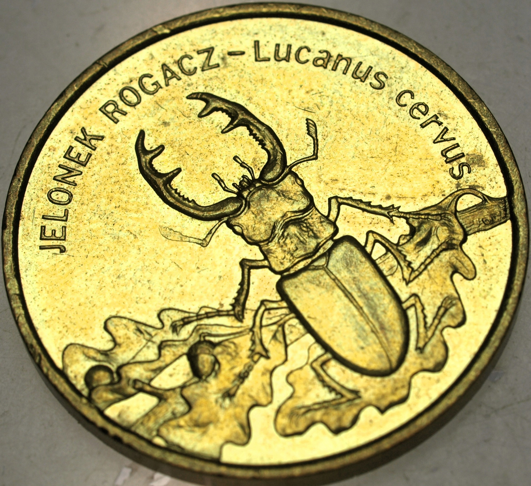 Zdjęcie 18285439987_0