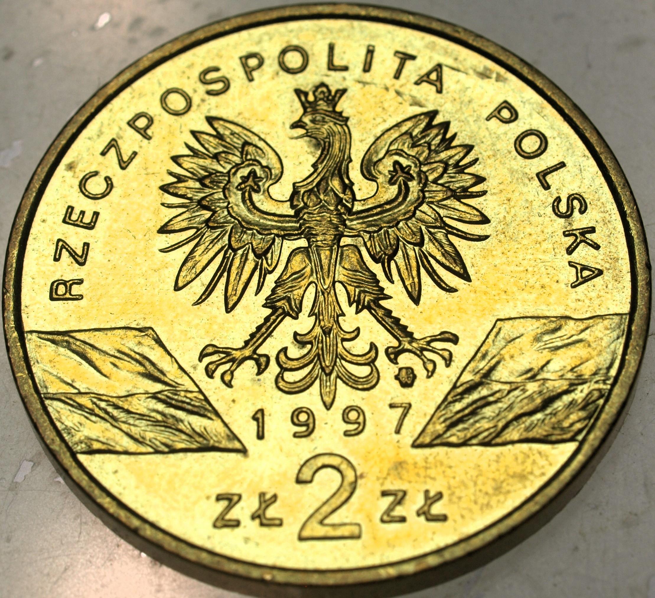 Zdjęcie 18285439987_1