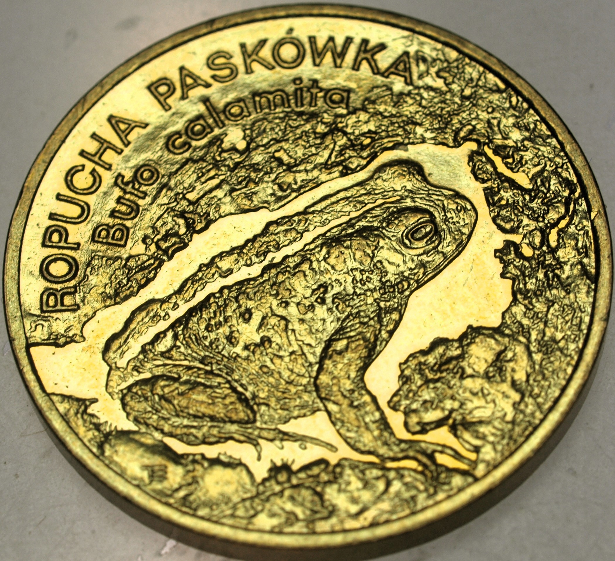 Zdjęcie 18285449737_0