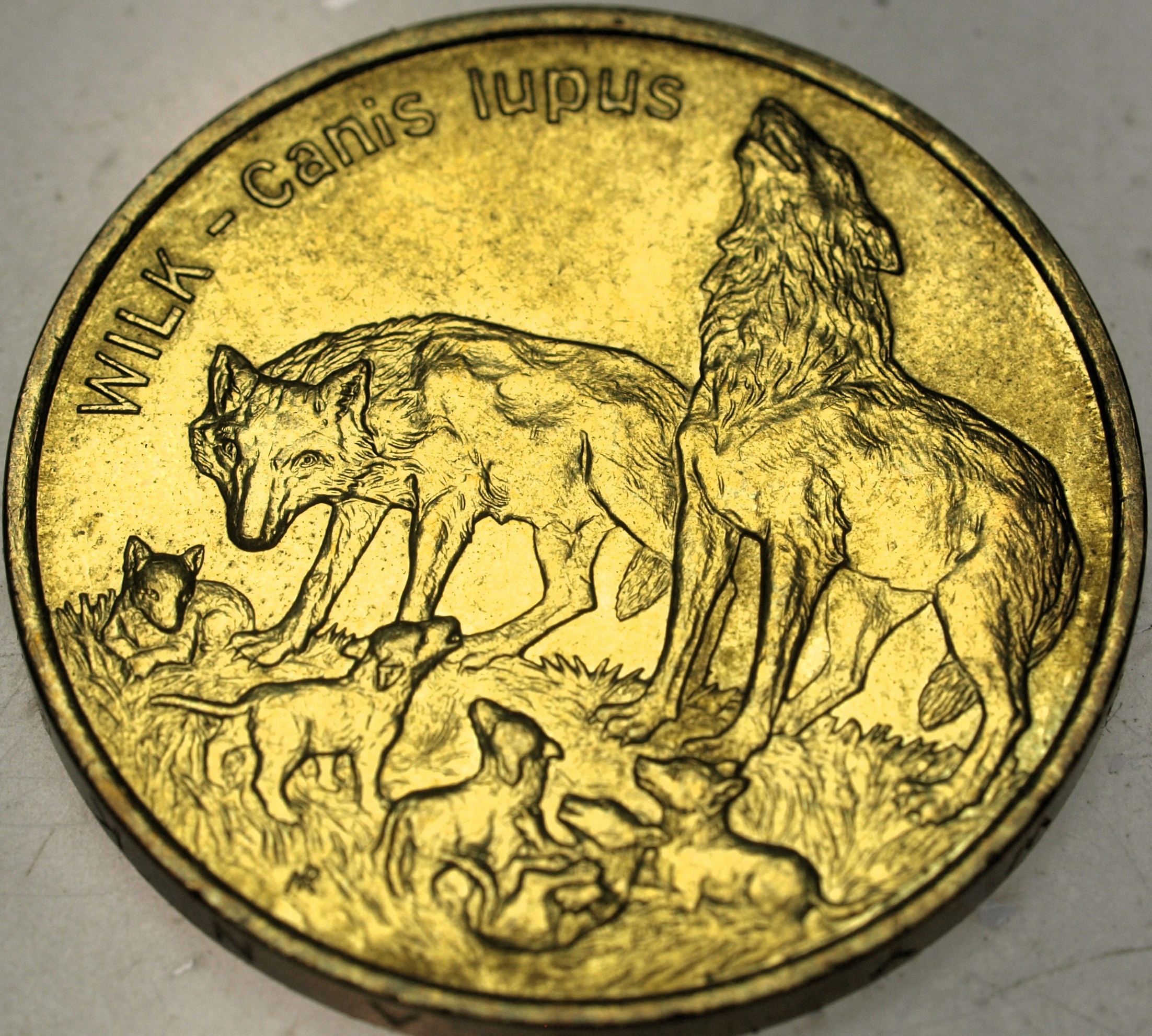 Zdjęcie 18285461881_0