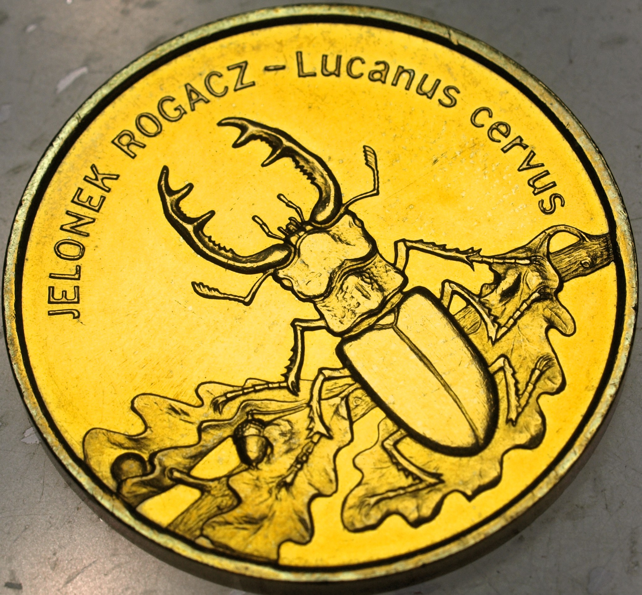 Zdjęcie 18296592438_0