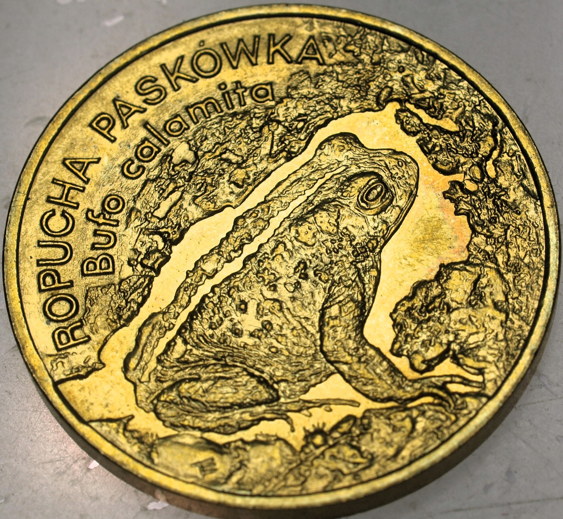 Zdjęcie 18296598422_0