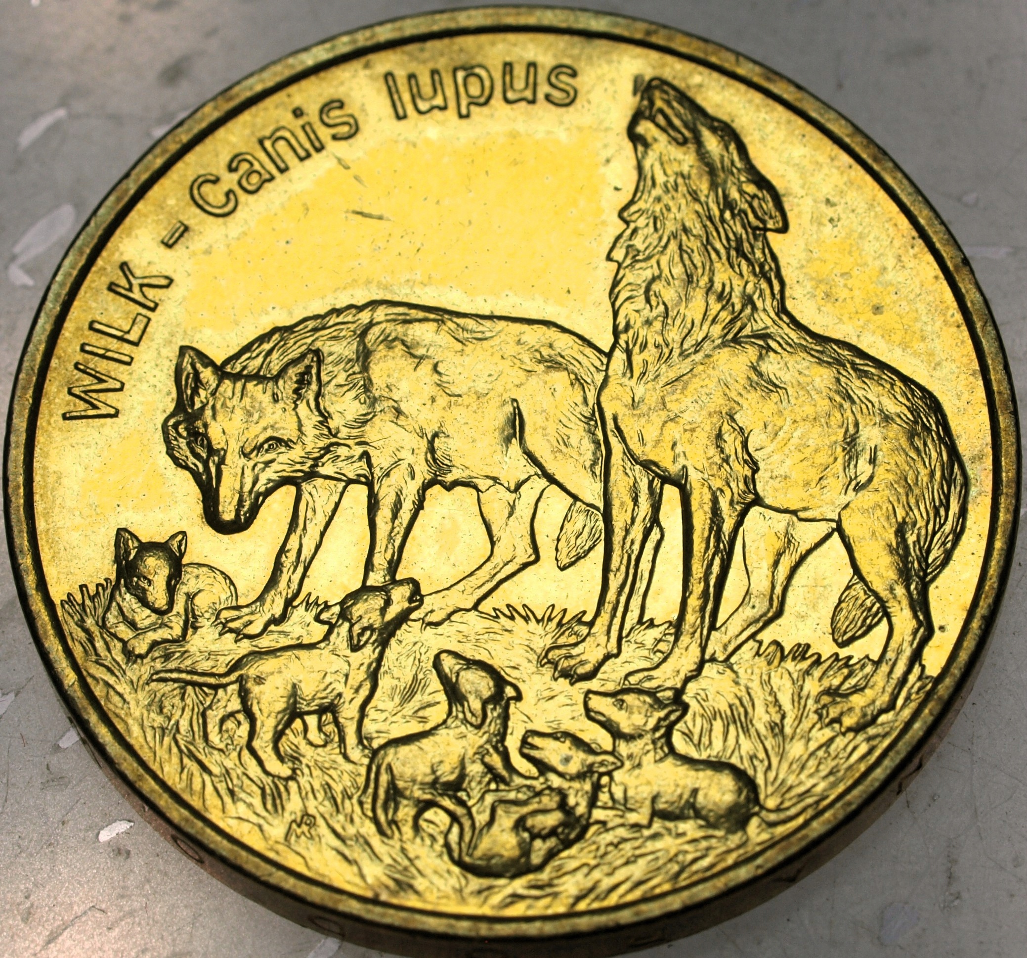 Zdjęcie 18296600218_0