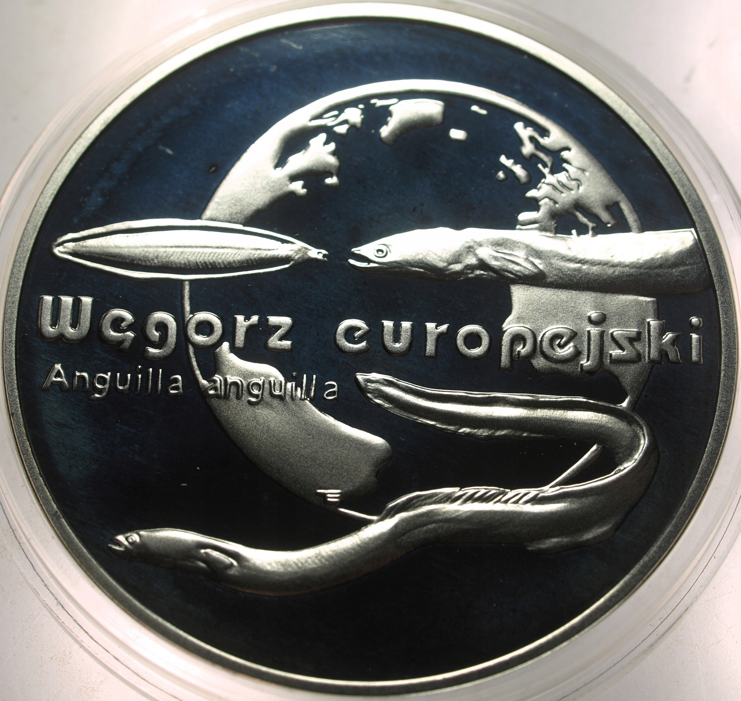 Zdjęcie 18296629799_0