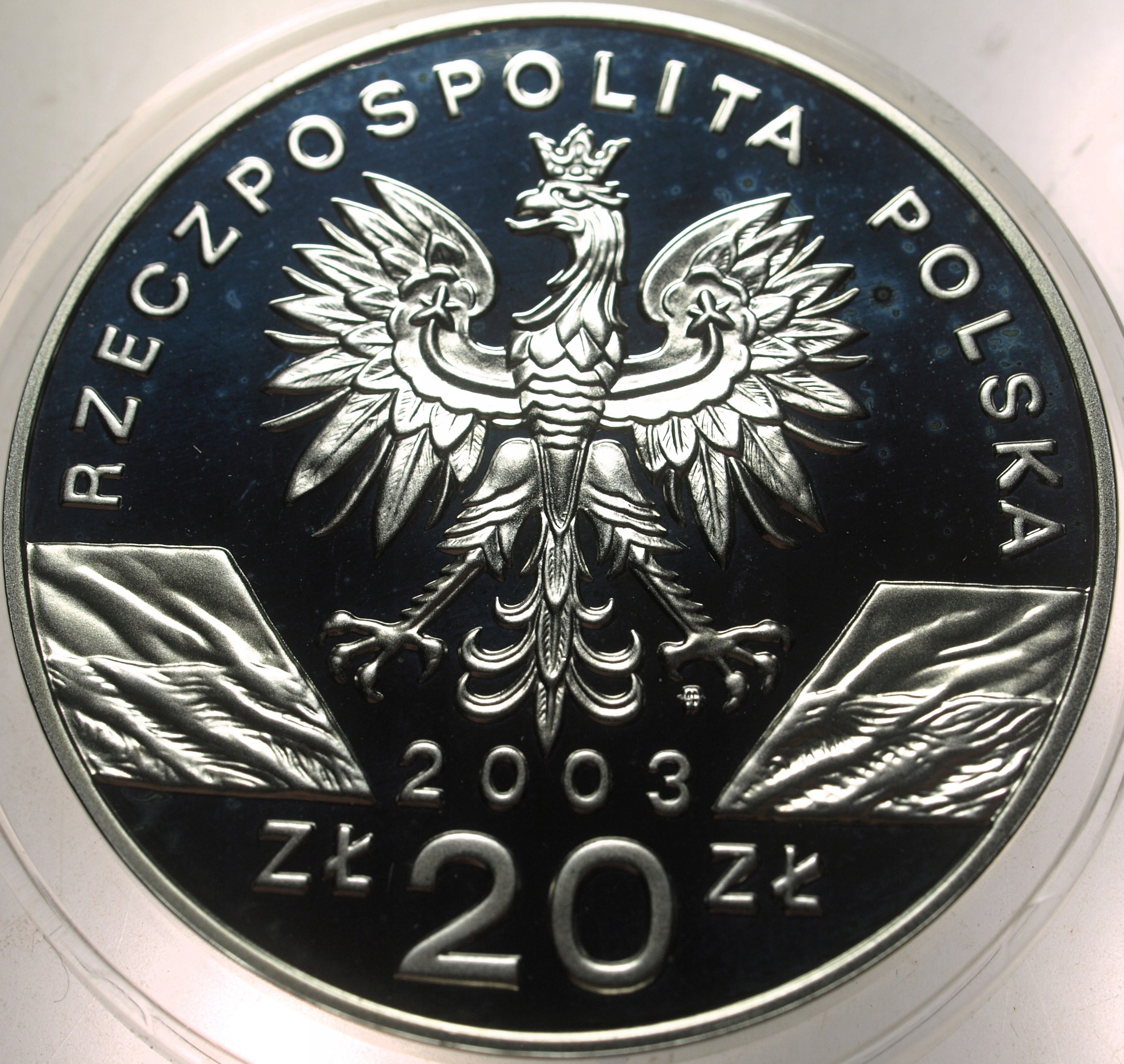 Zdjęcie 18296629799_1