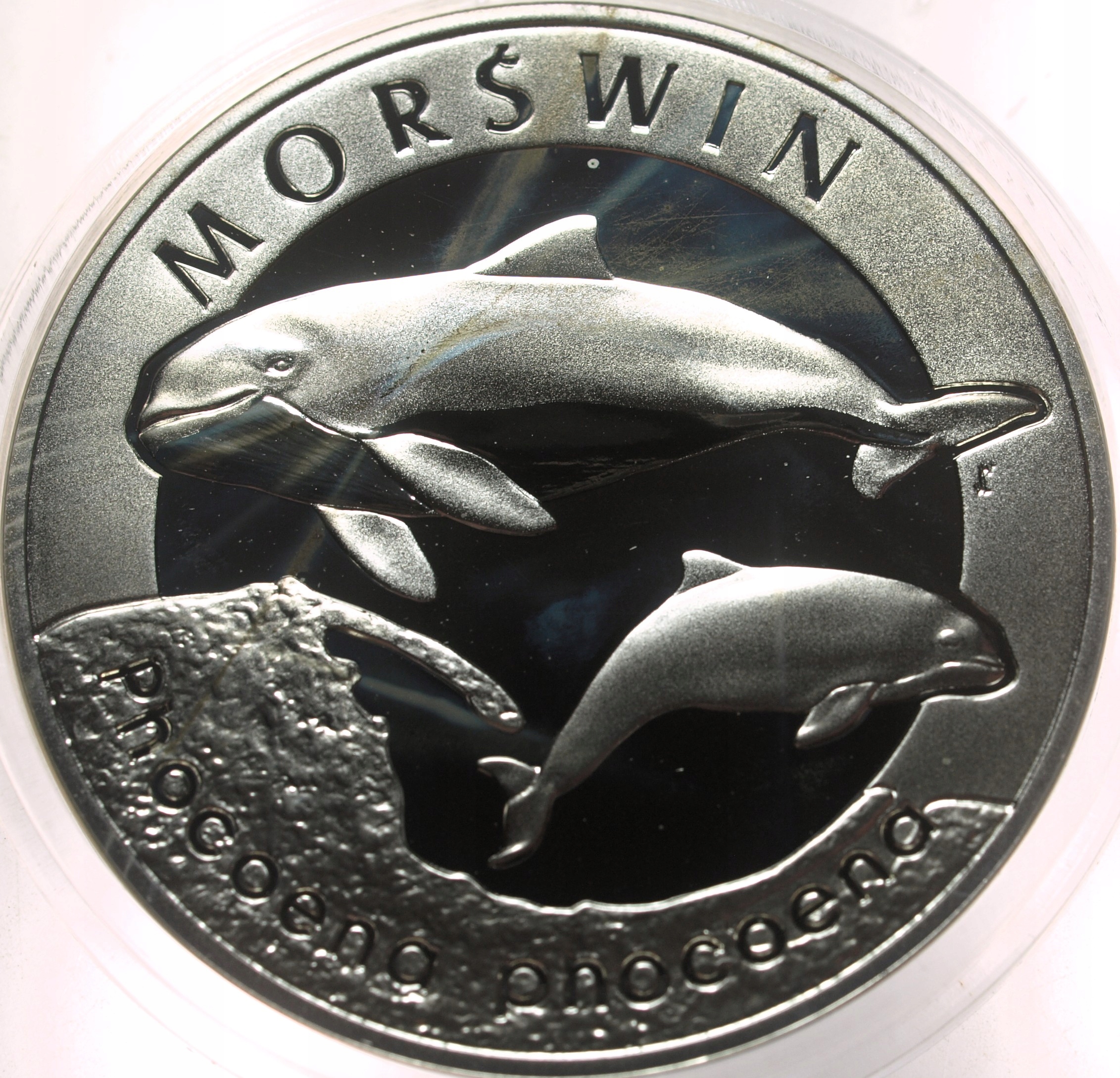 Zdjęcie 18296635308_0