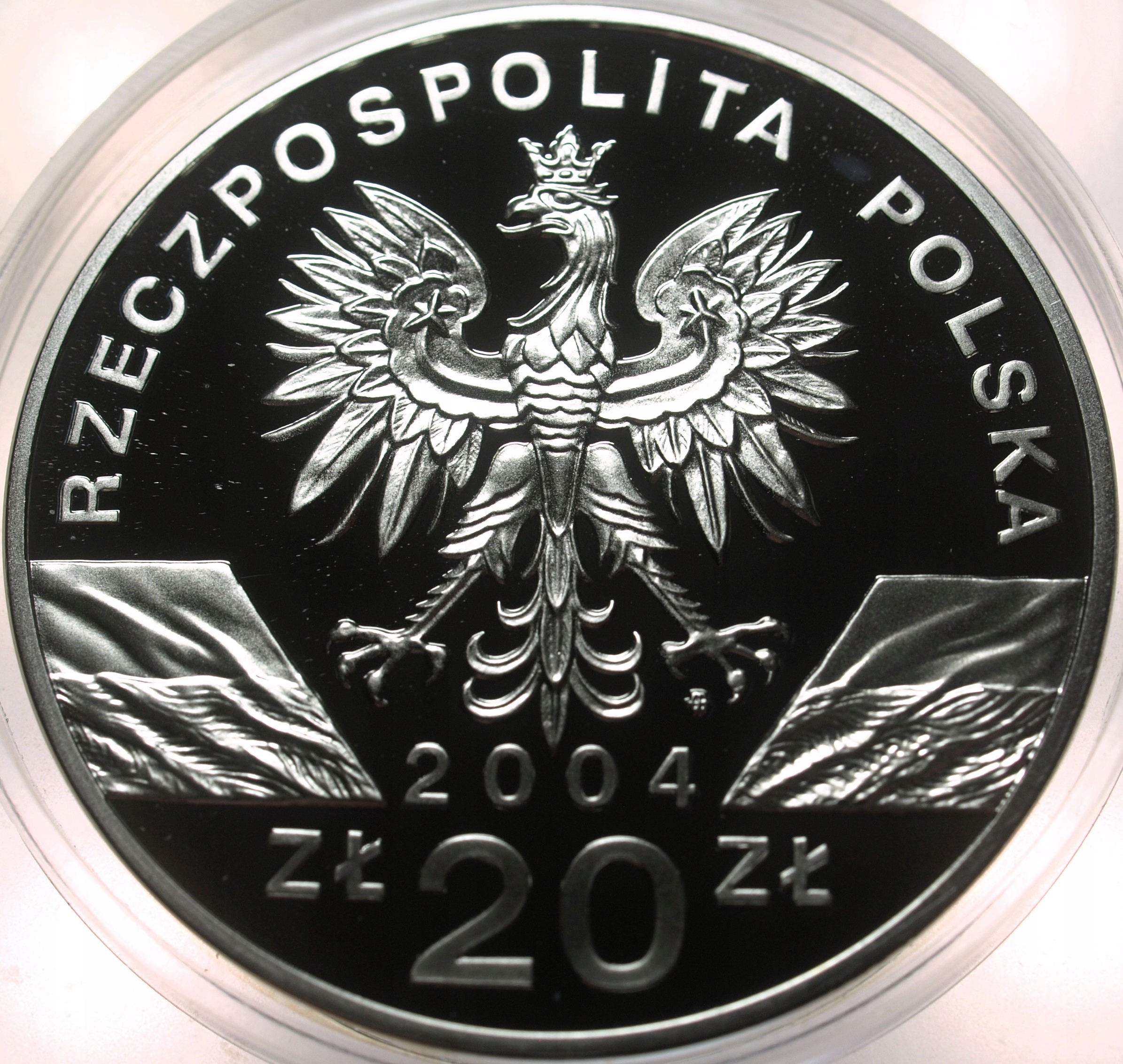 Zdjęcie 18296635308_1