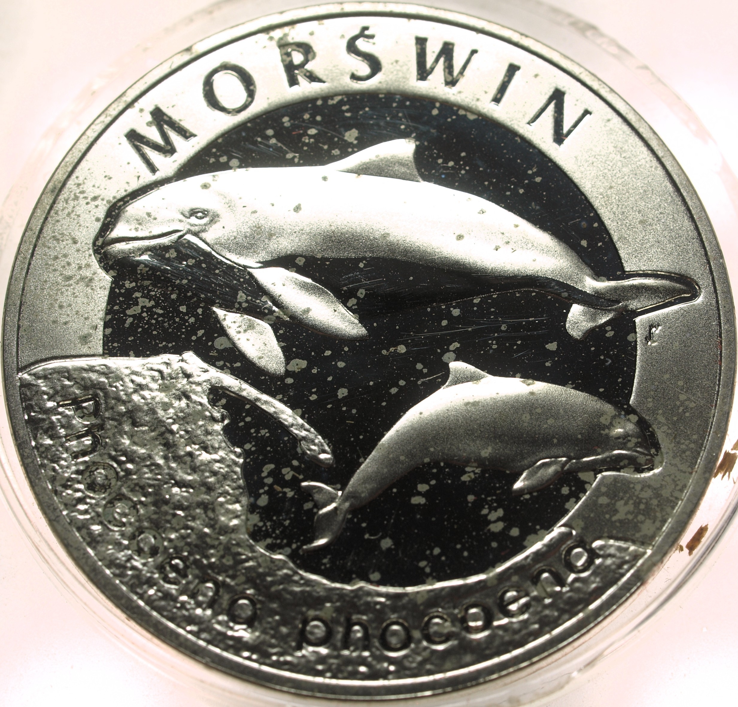 Zdjęcie 18300099339_0