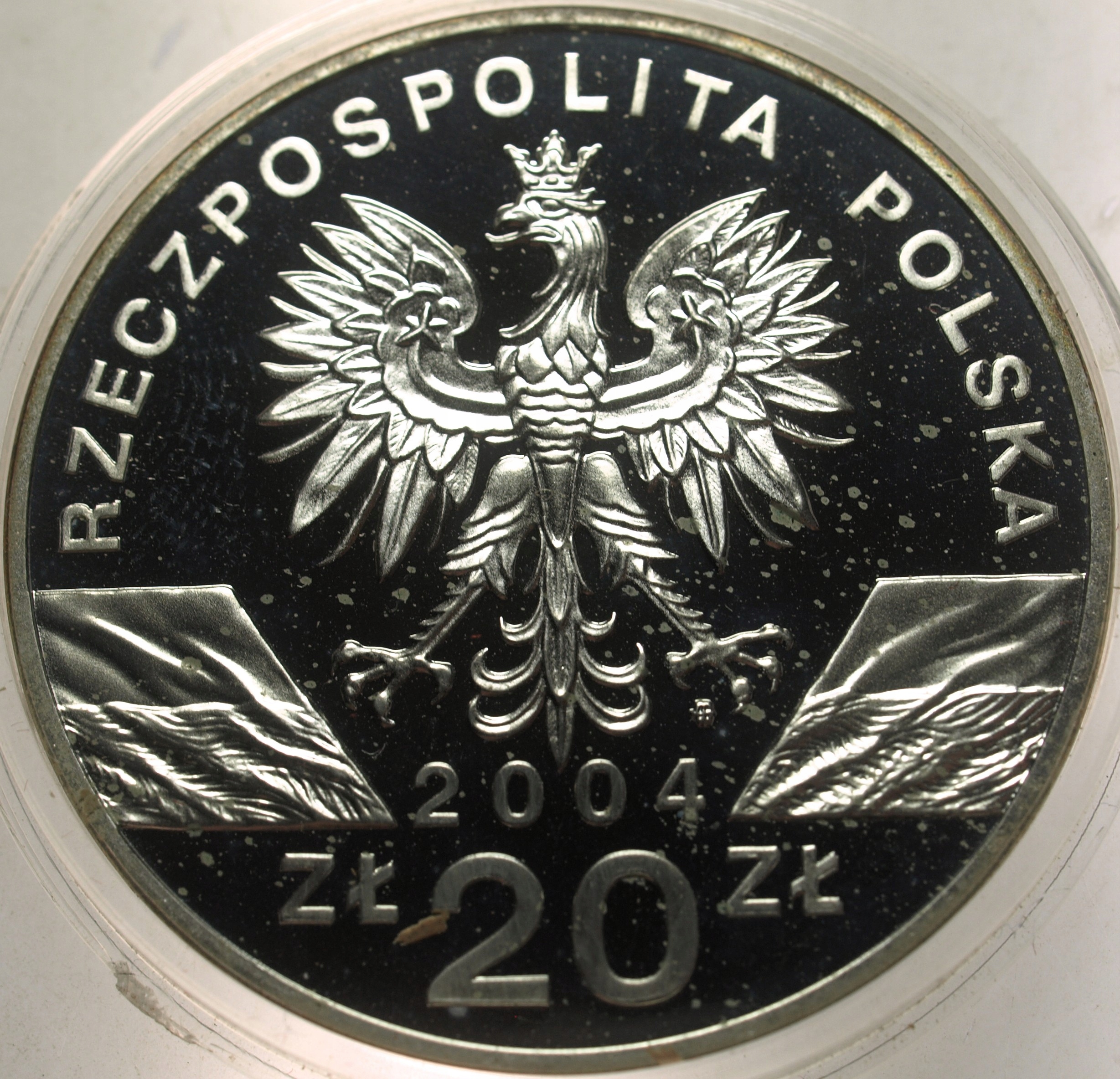 Zdjęcie 18300099339_1