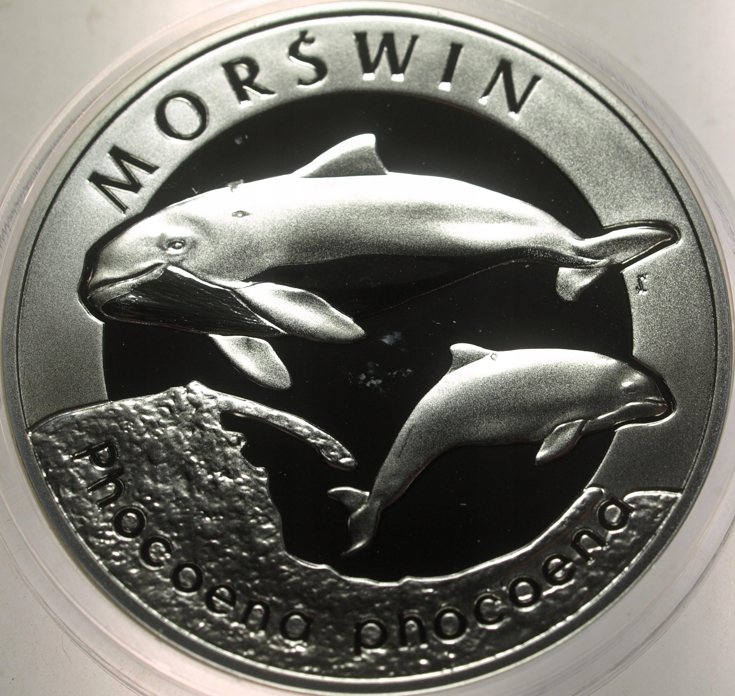 Zdjęcie 18300173644_0