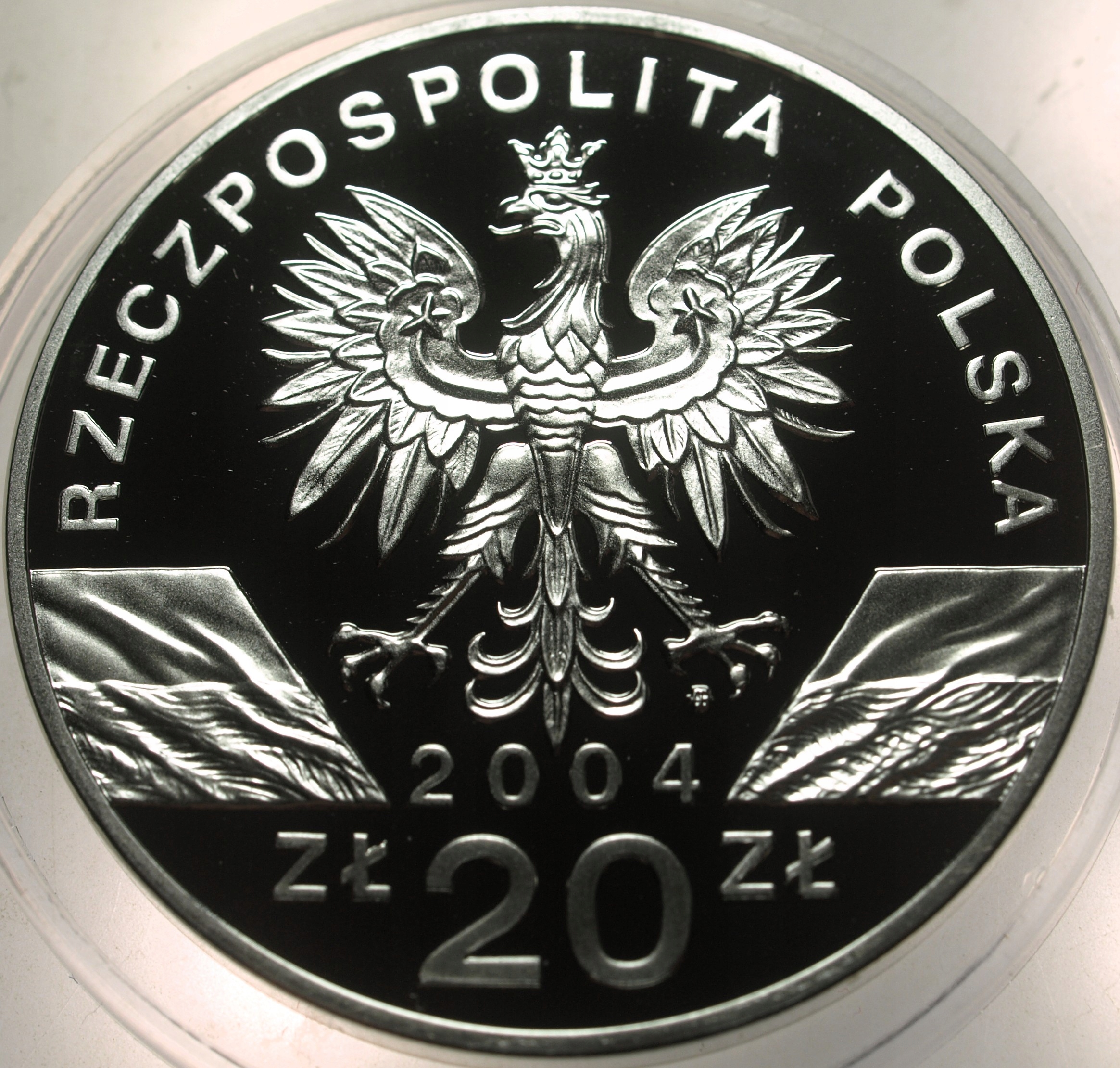 Zdjęcie 18300173644_1