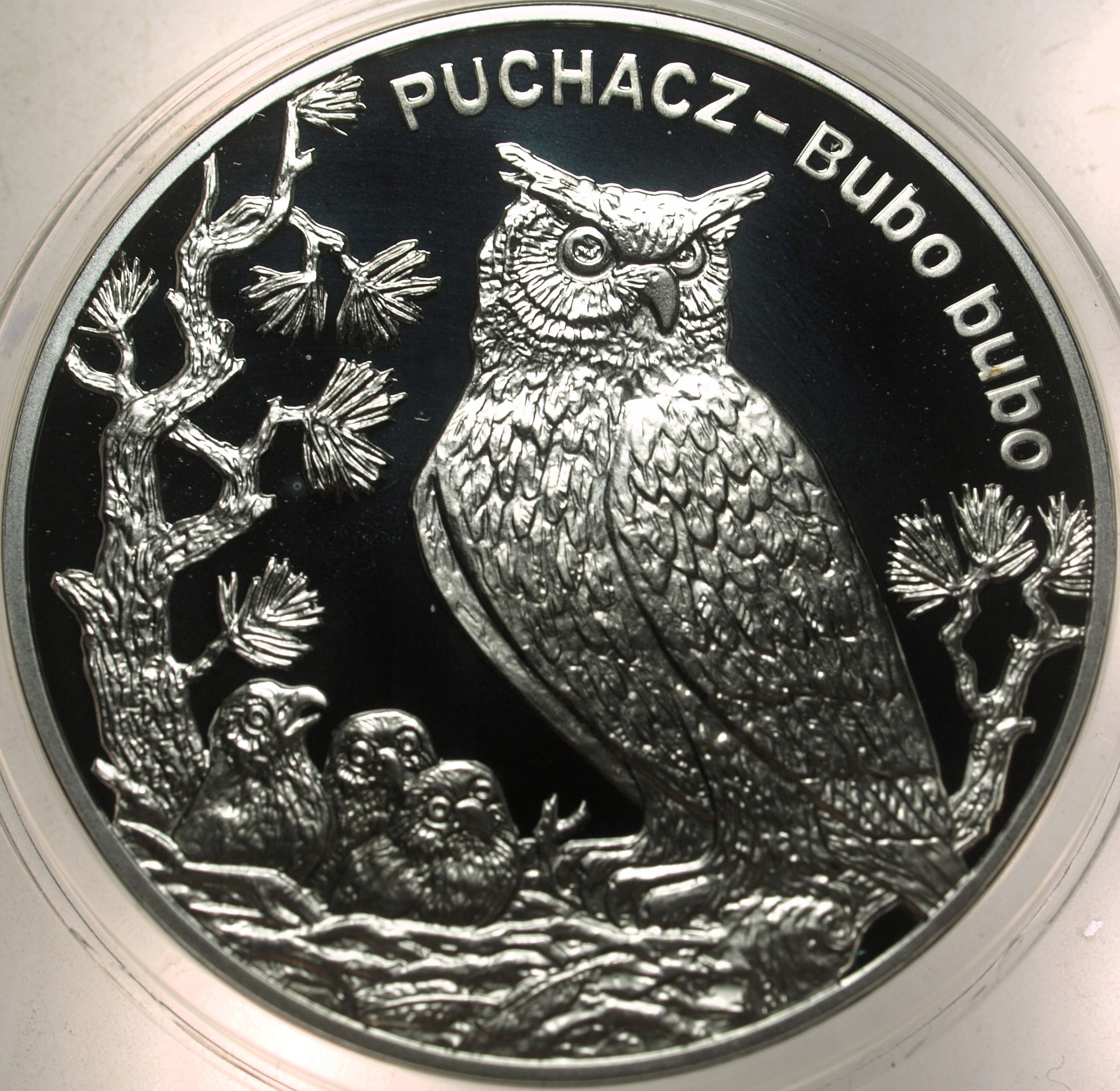 Zdjęcie 18300180503_0