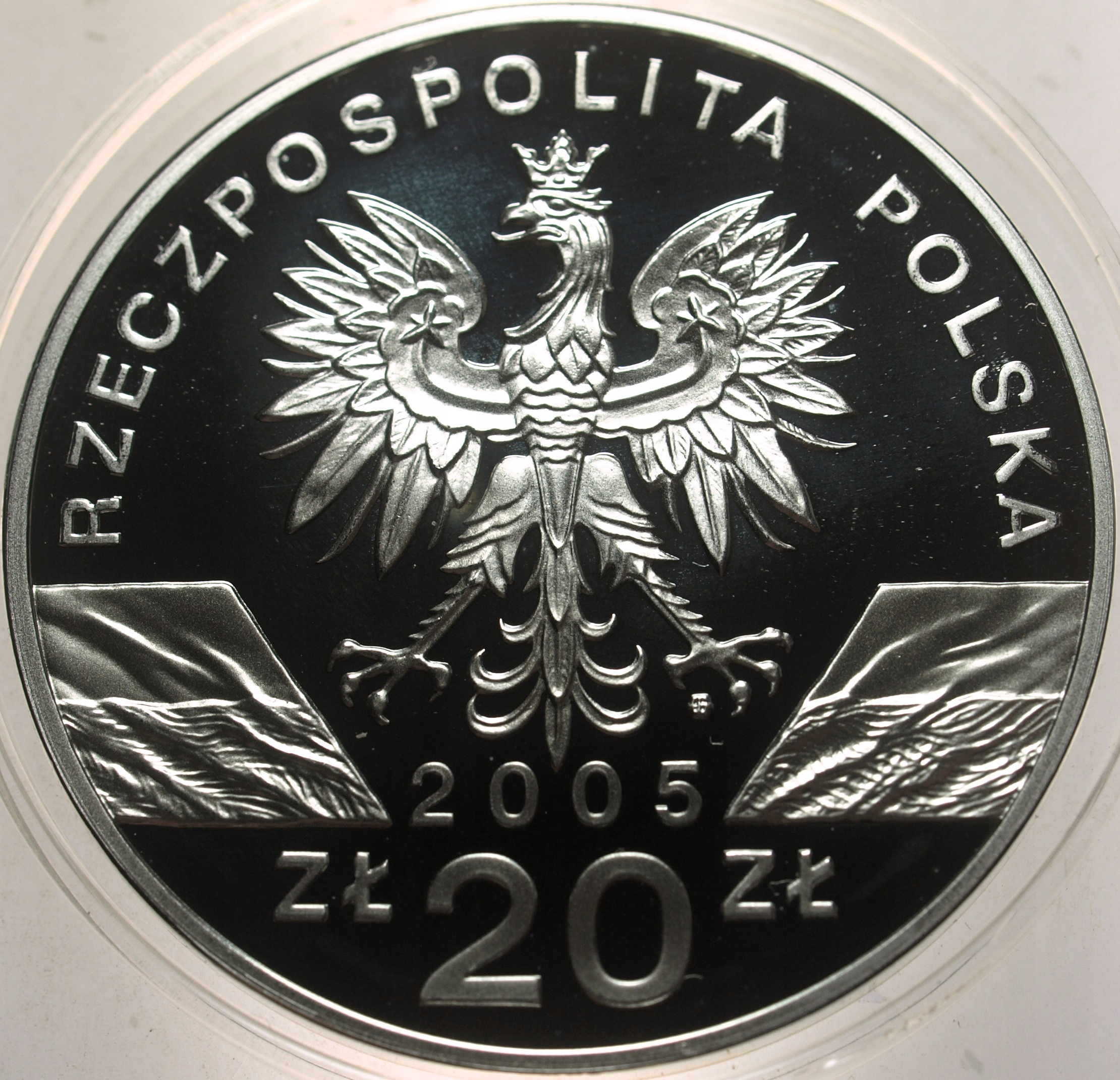 Zdjęcie 18300180503_1