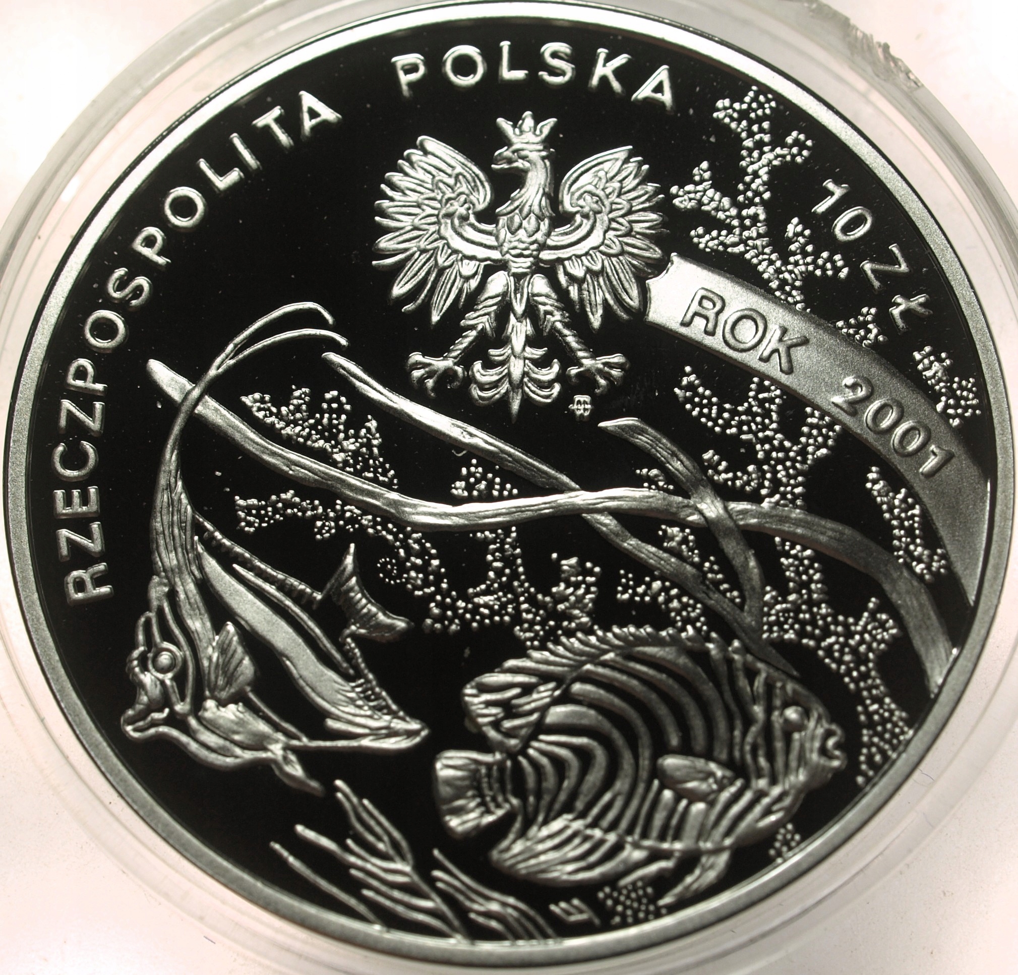 Zdjęcie 18302840872_1