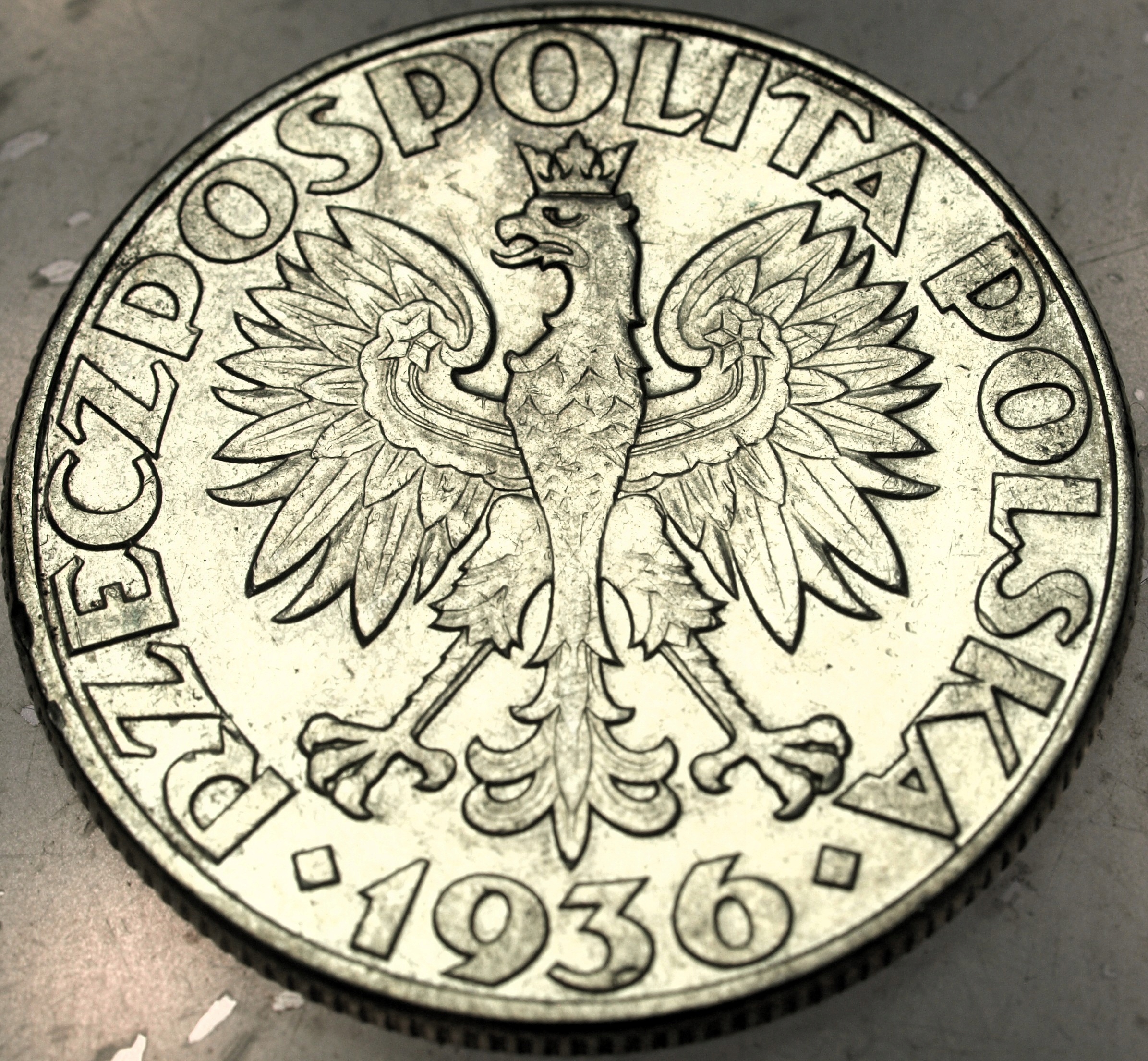 Zdjęcie 18303421654_1