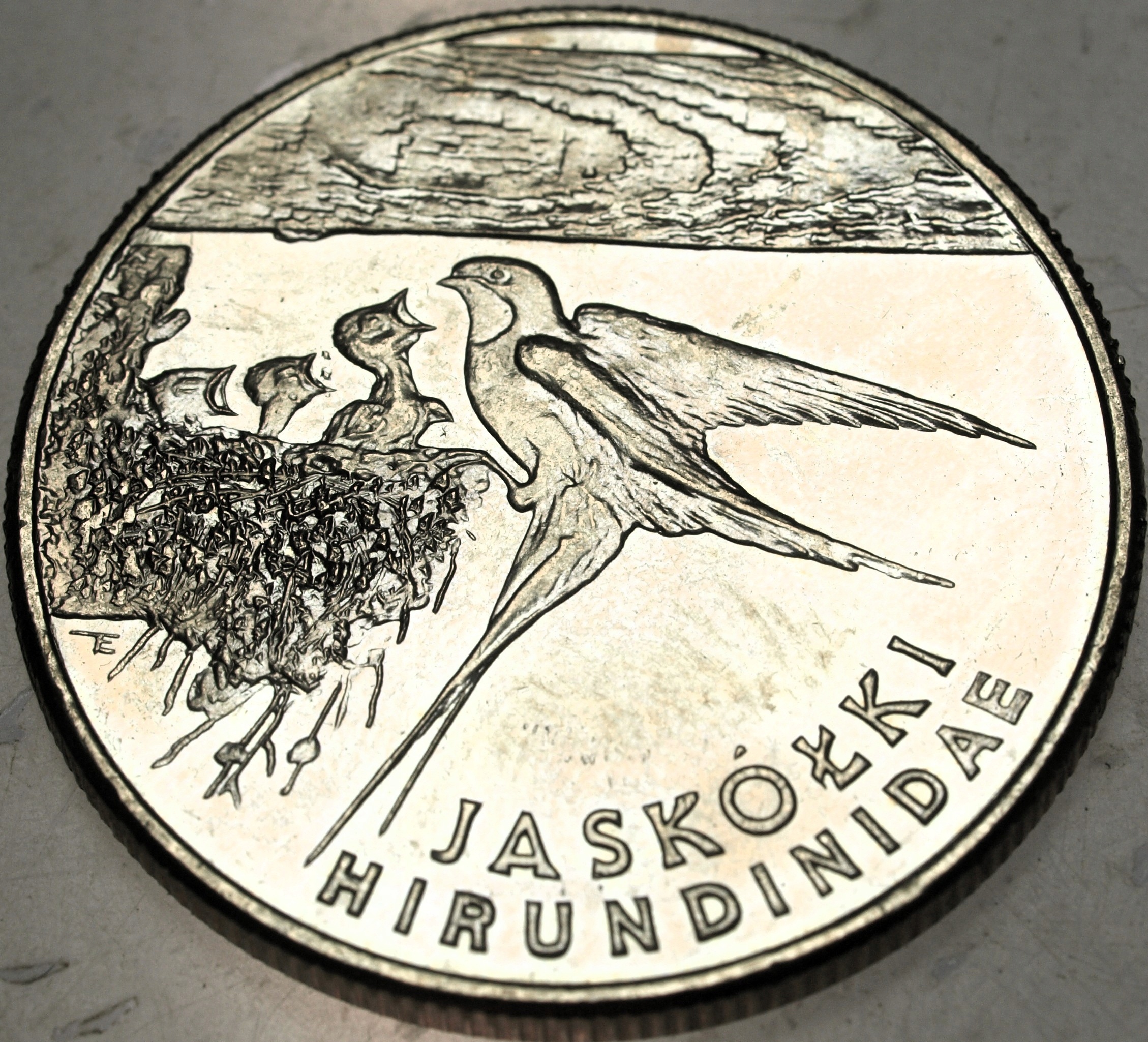 Zdjęcie 18303446099_0