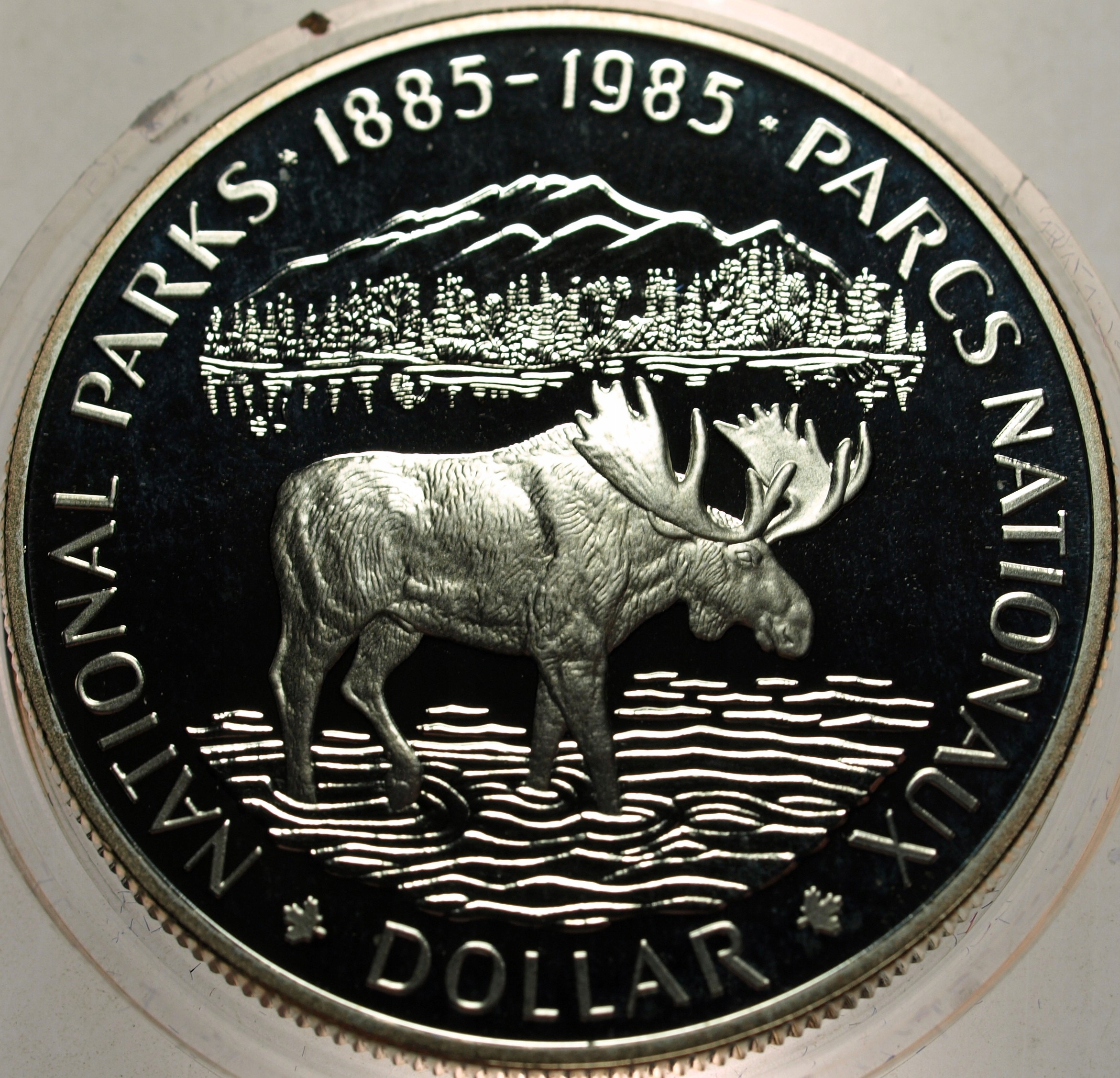 Zdjęcie 18306242956_1