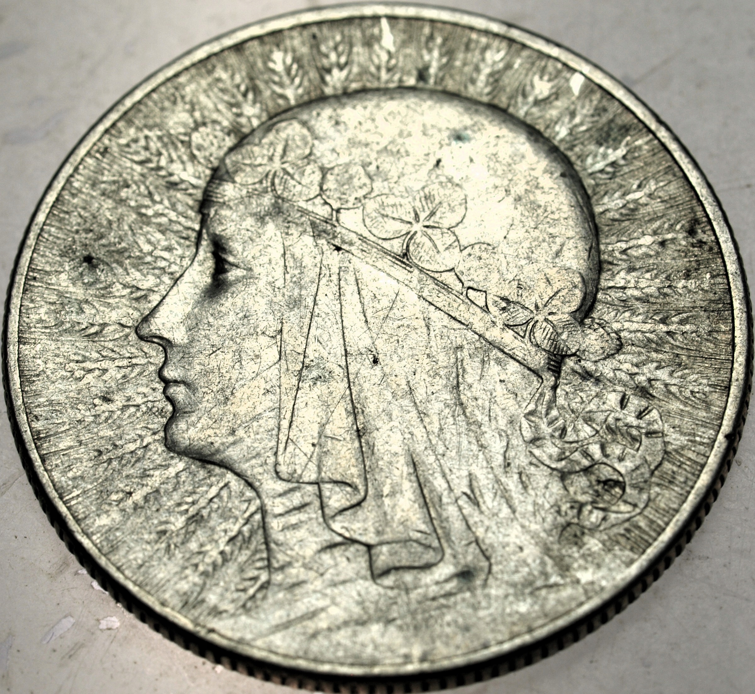 Zdjęcie 18306467451_0