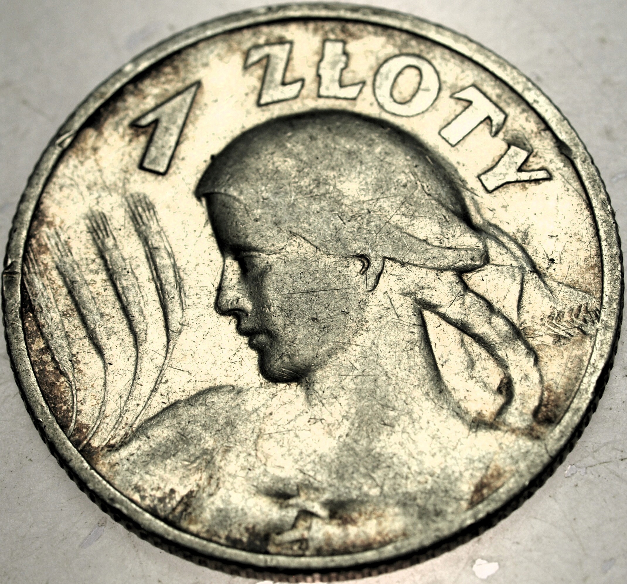 Zdjęcie 18319445076_0