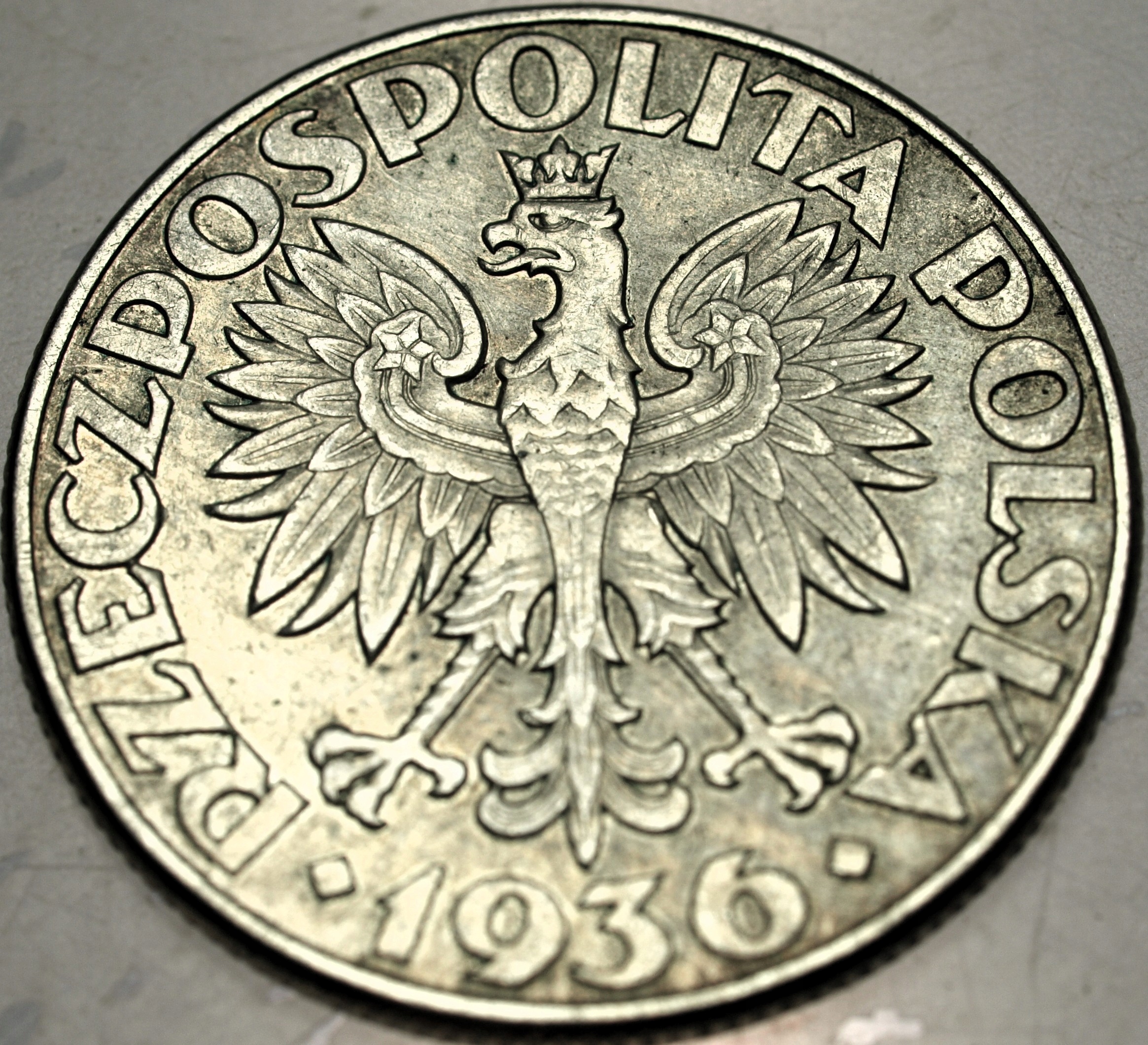 Zdjęcie 18319447787_1