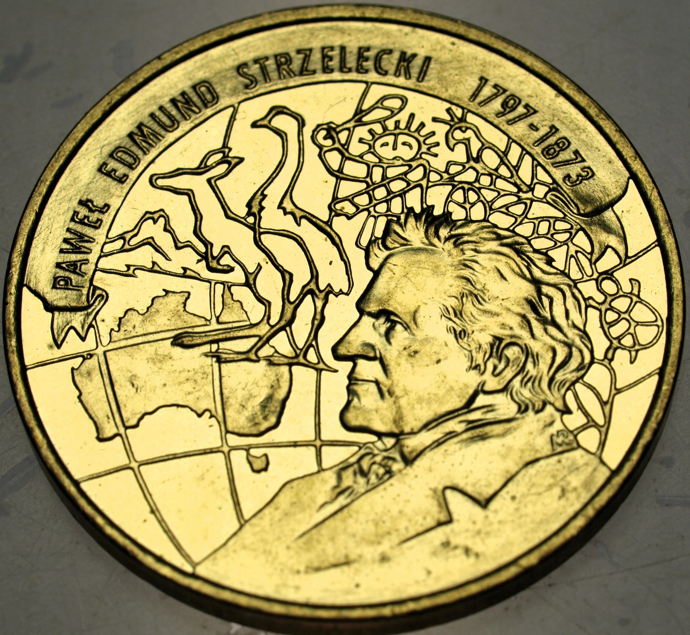 Zdjęcie 18319450032_0