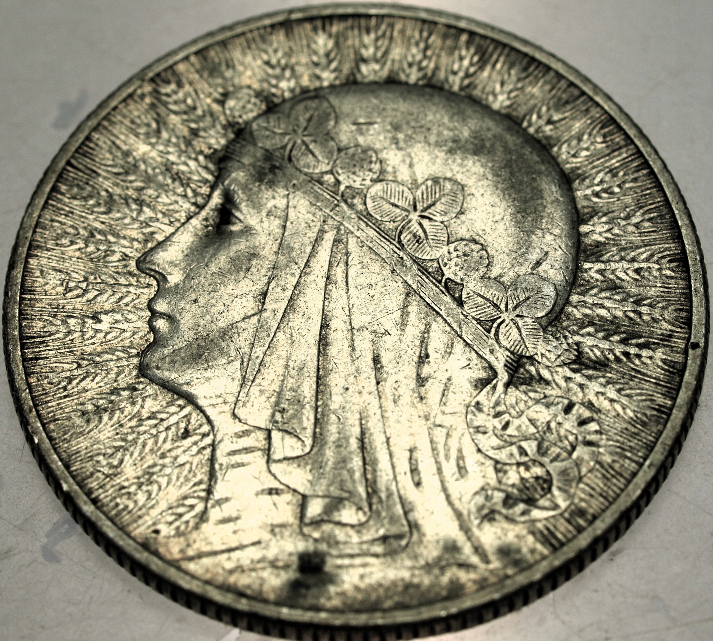 Zdjęcie 18319451991_0