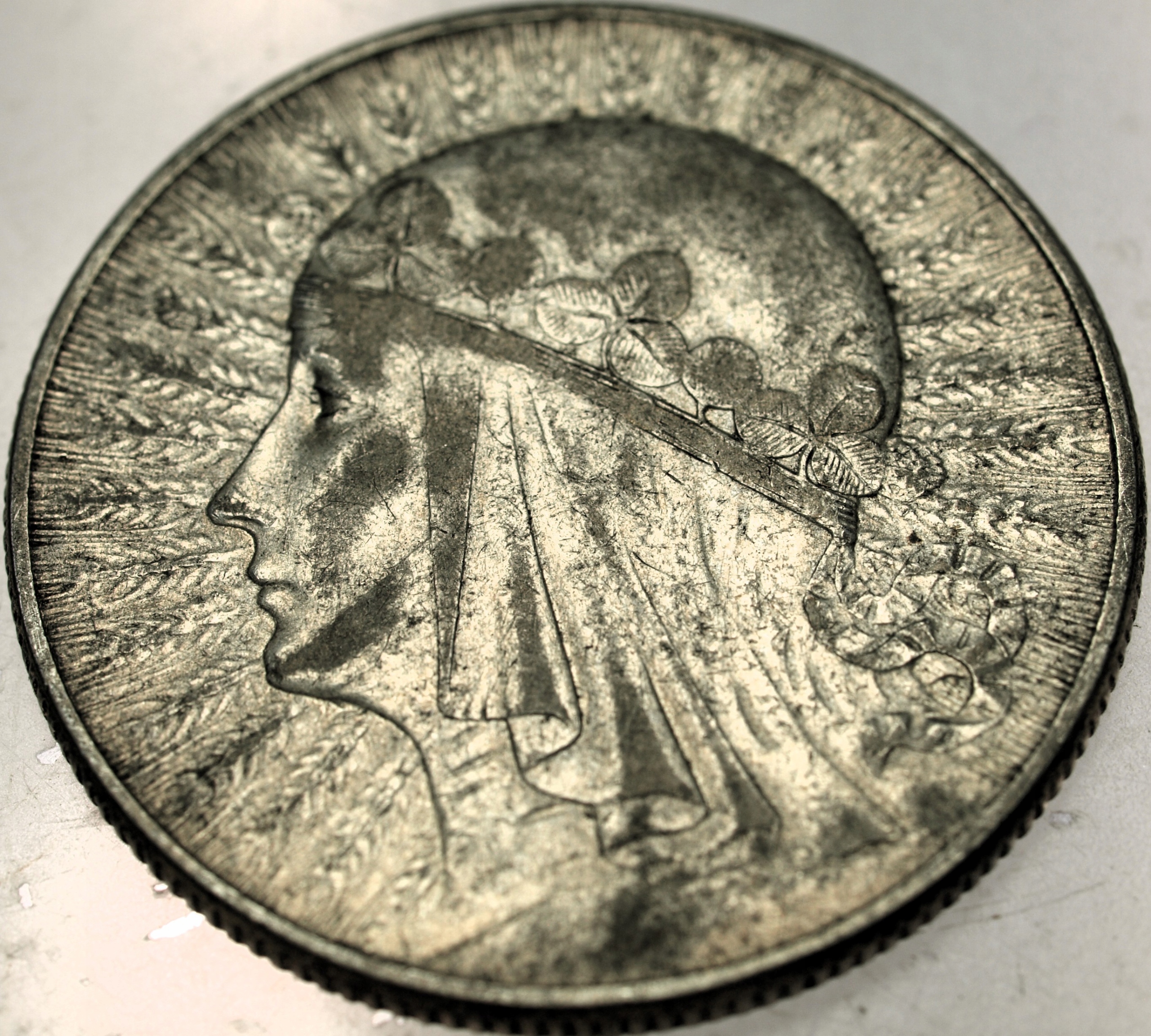 Zdjęcie 18319457509_0