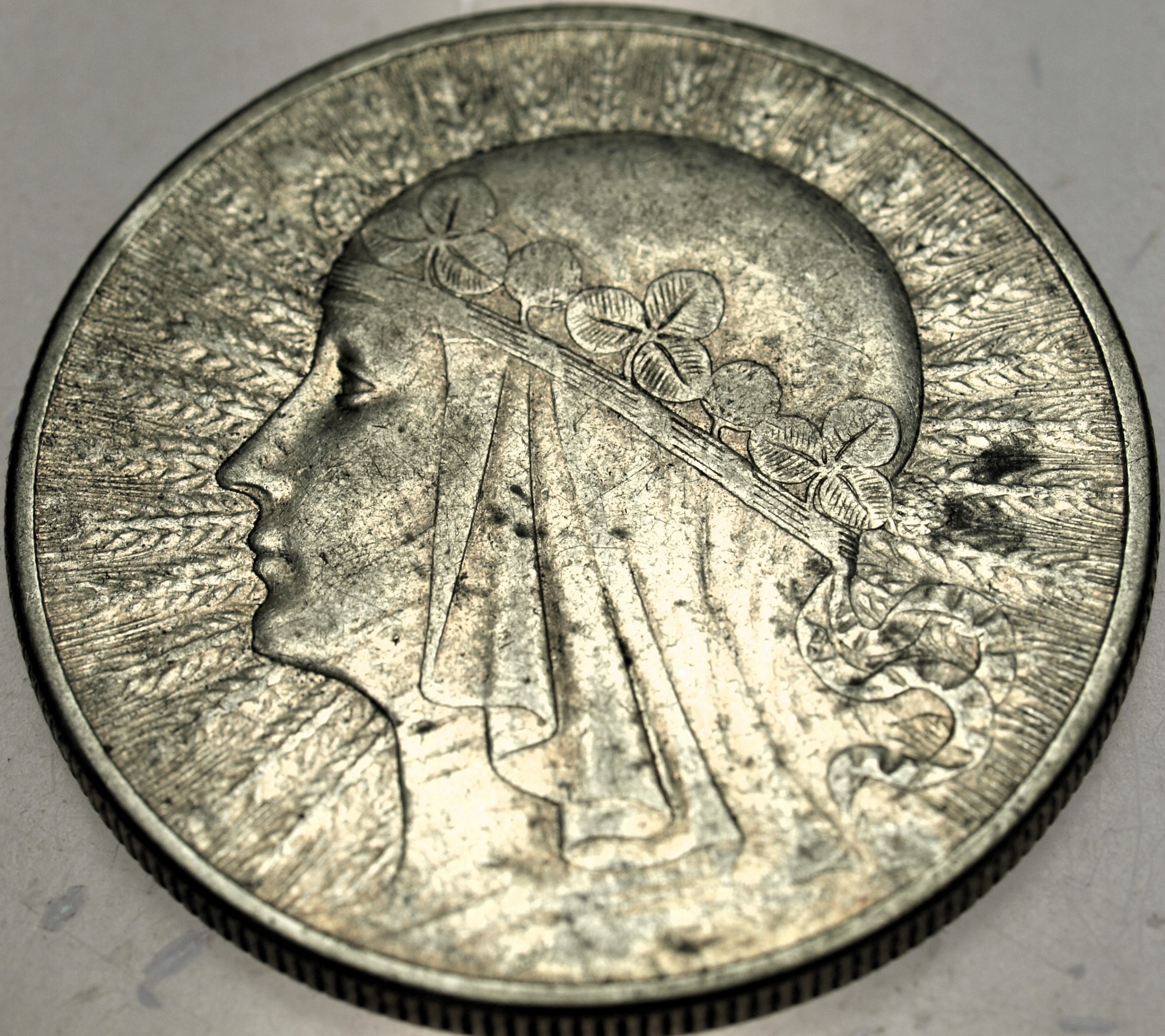 Zdjęcie 18319466302_0