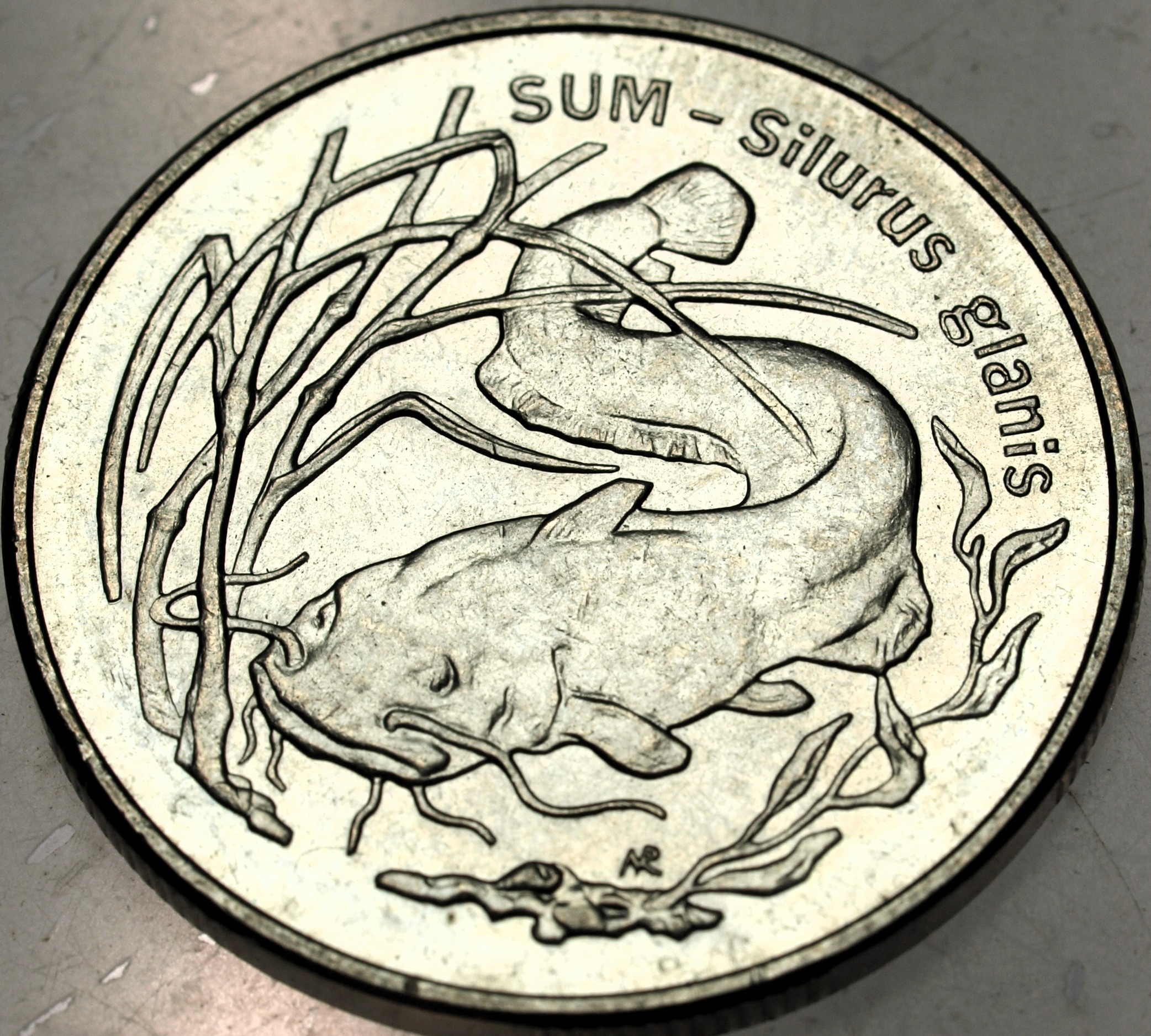 Zdjęcie 18319582588_0