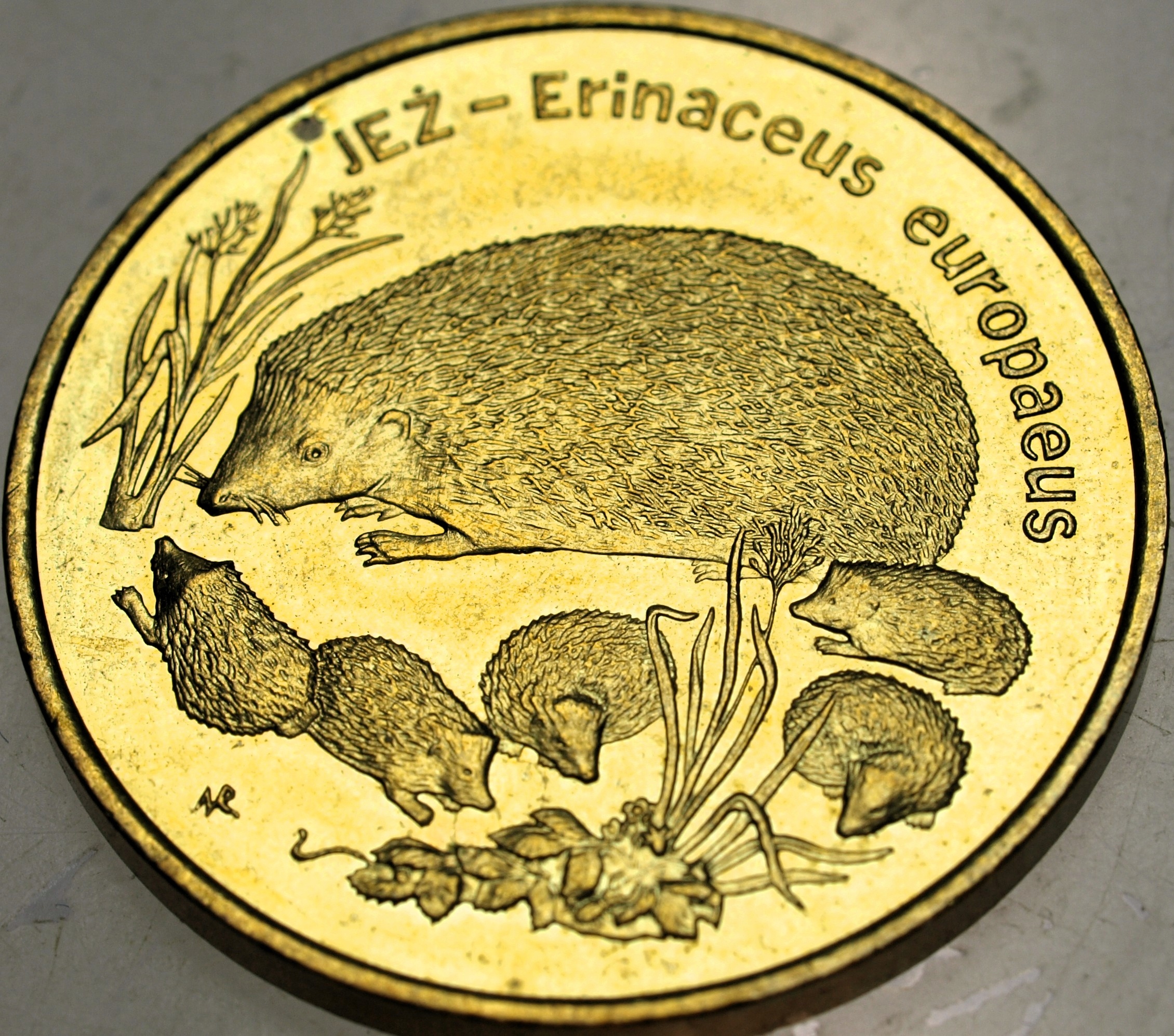 Zdjęcie 18319588051_0