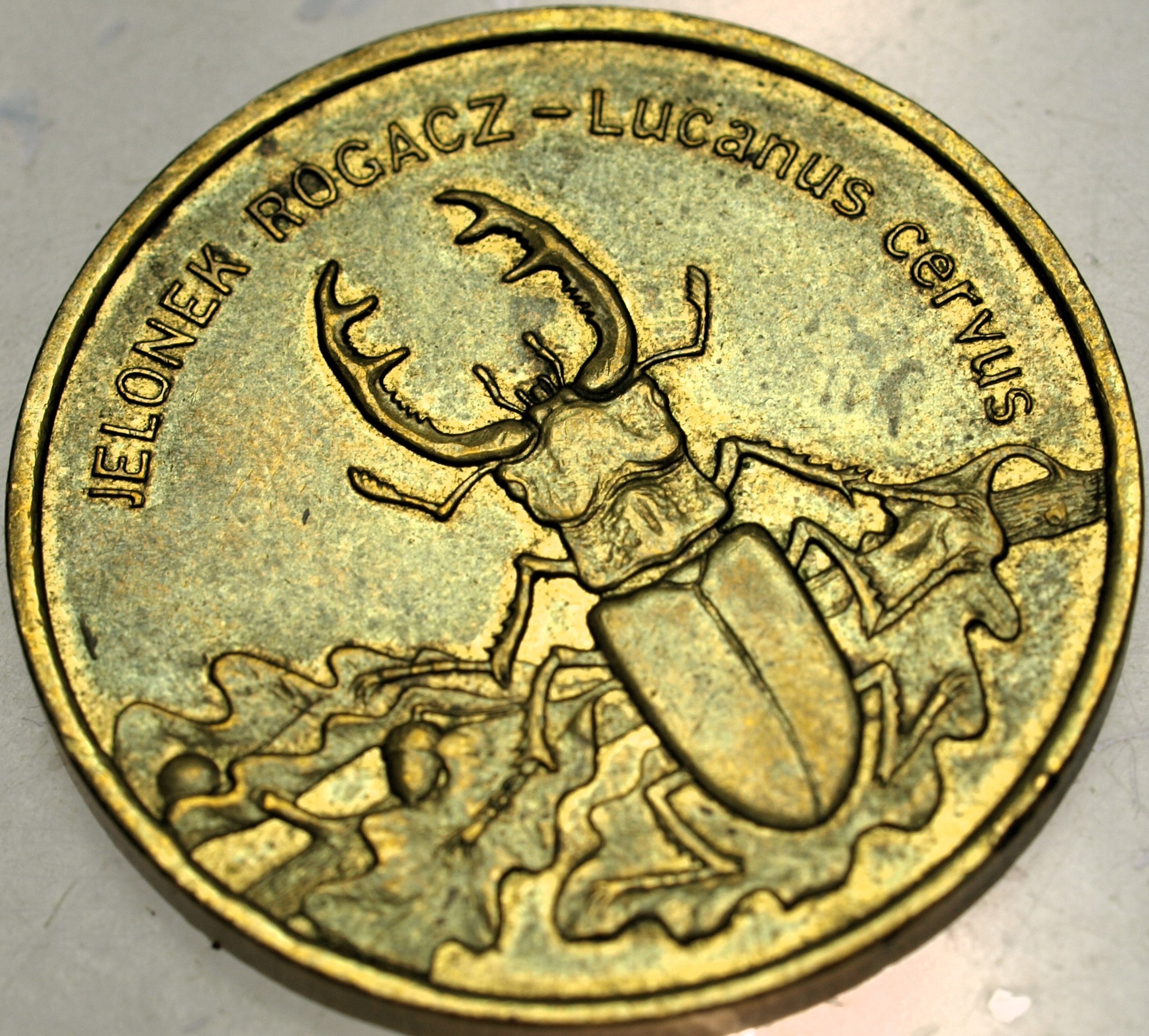 Zdjęcie 18319597597_0