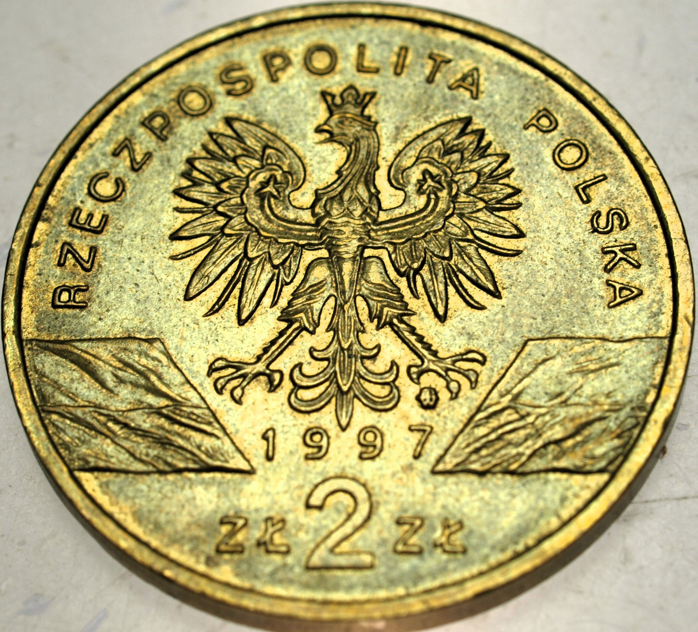 Zdjęcie 18319597597_1