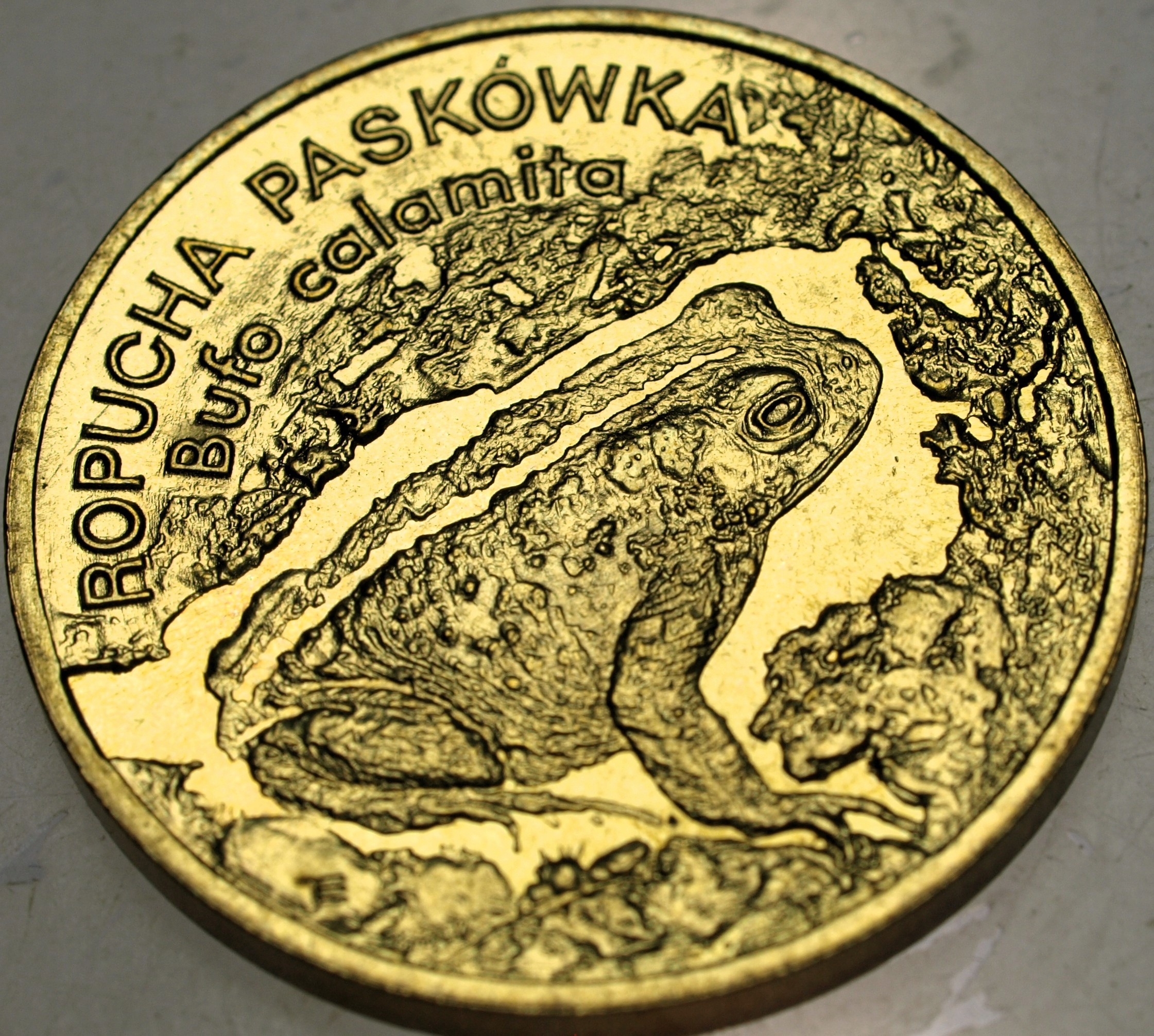 Zdjęcie 18319601877_0