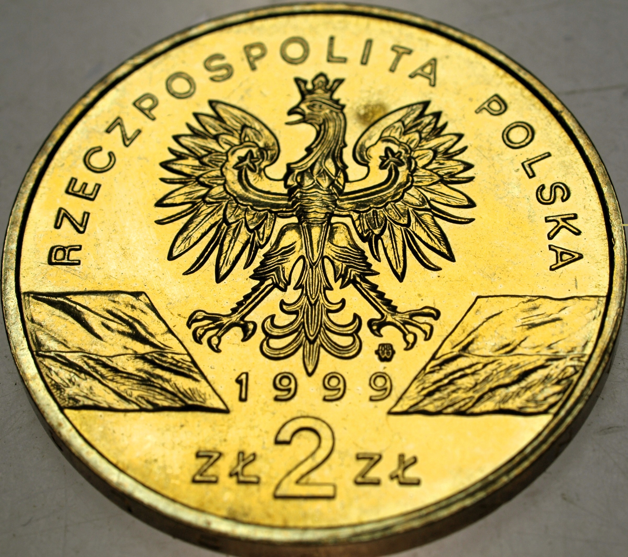 Zdjęcie 18319607029_1