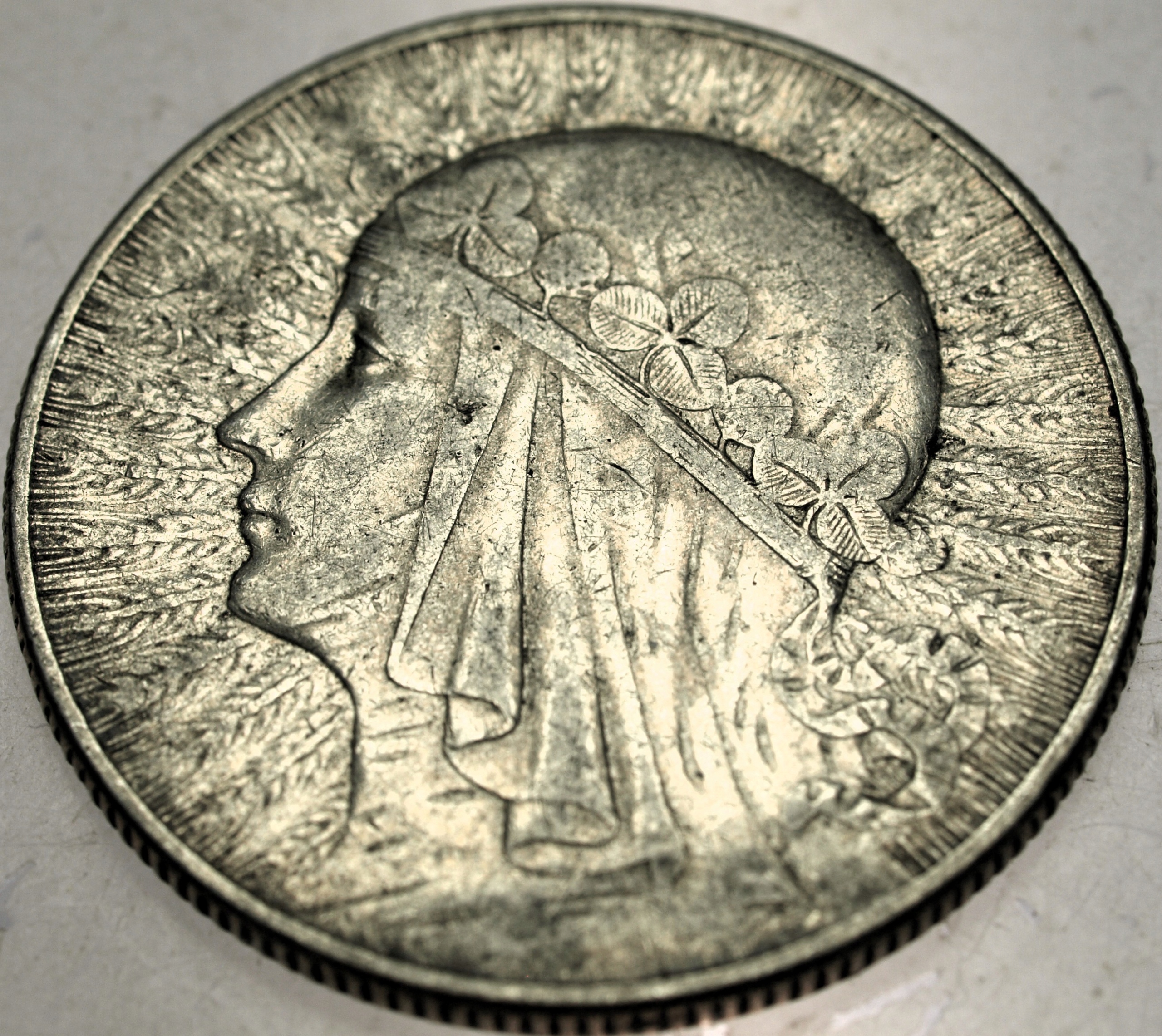 Zdjęcie 18319610399_0